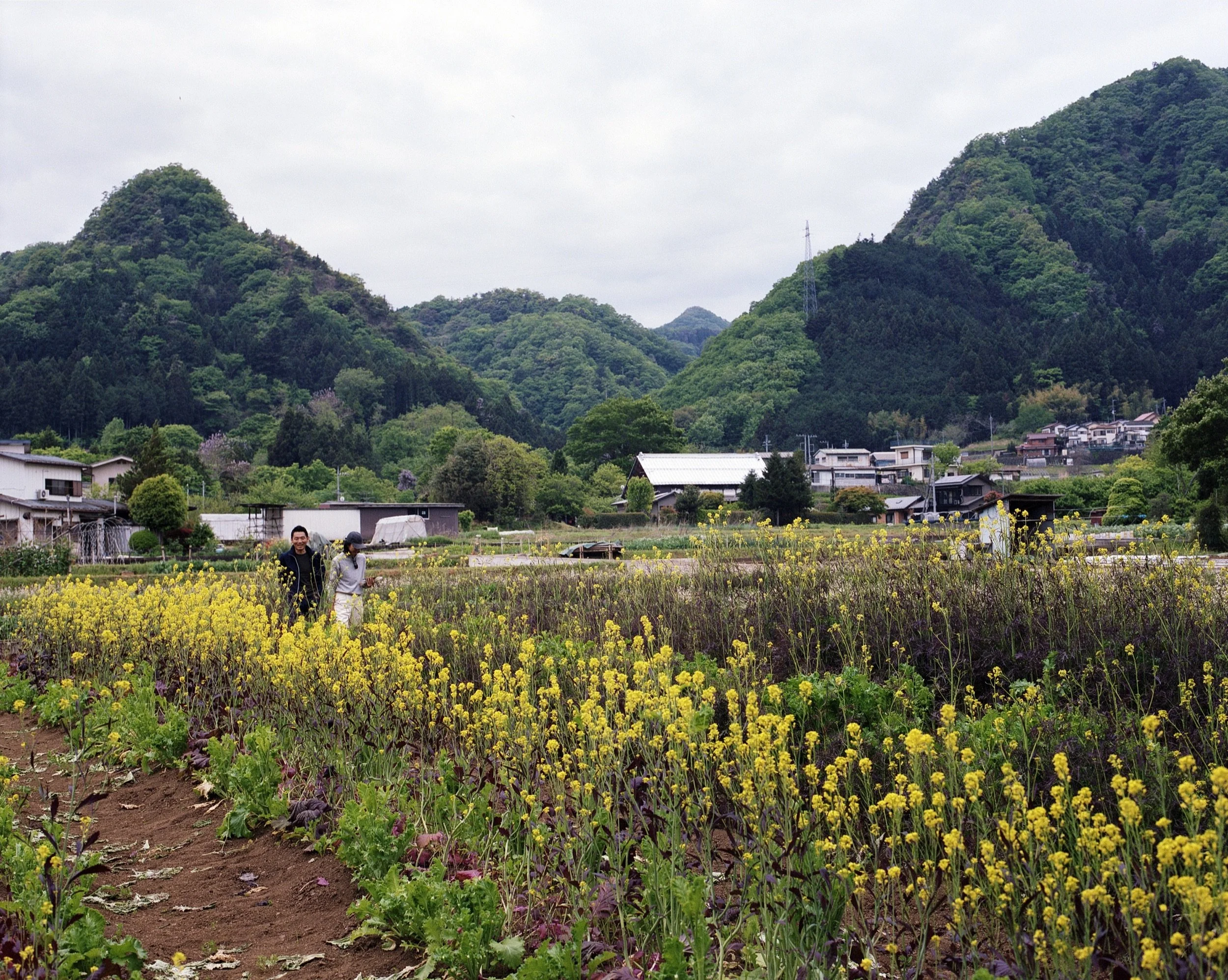 AMAN_2023-05_1045-52.jpg