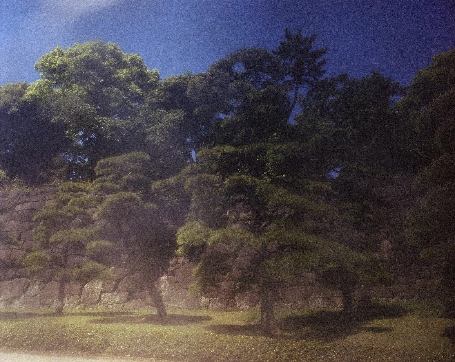 AMAN_2023-05_1043-47.jpg