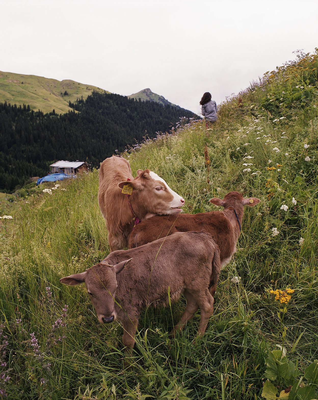 2022-10_975-50 copie.jpg