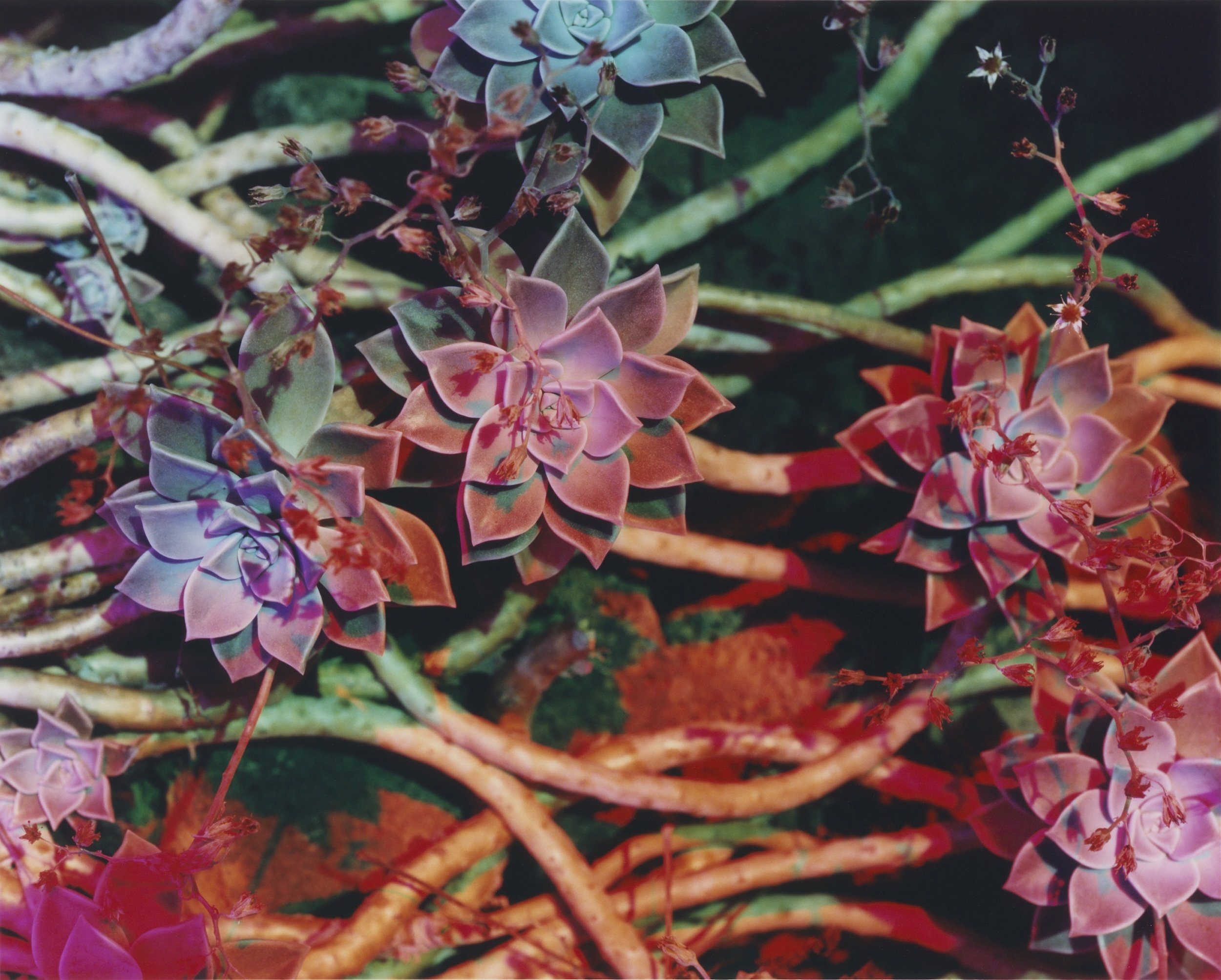 01 front cover:48 back cover (aîsa).jpg