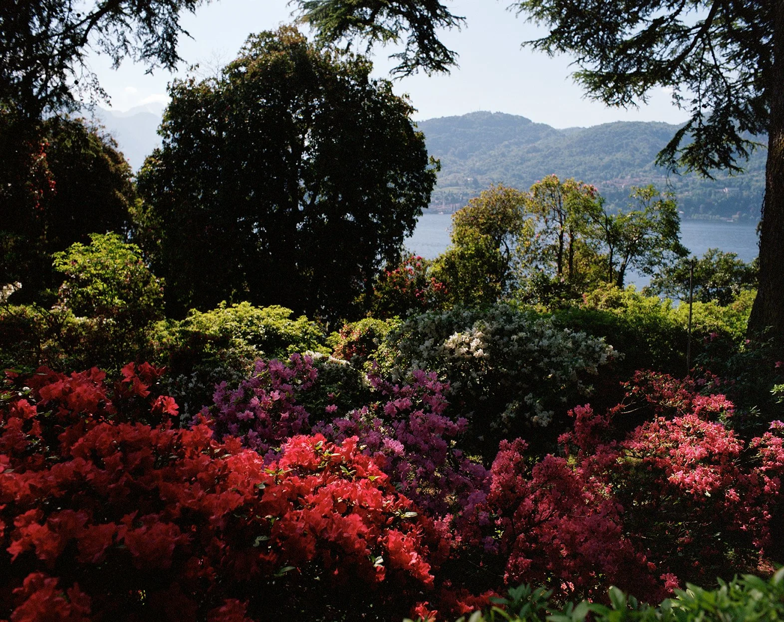 Villa-Carlotta_12124_47.jpg