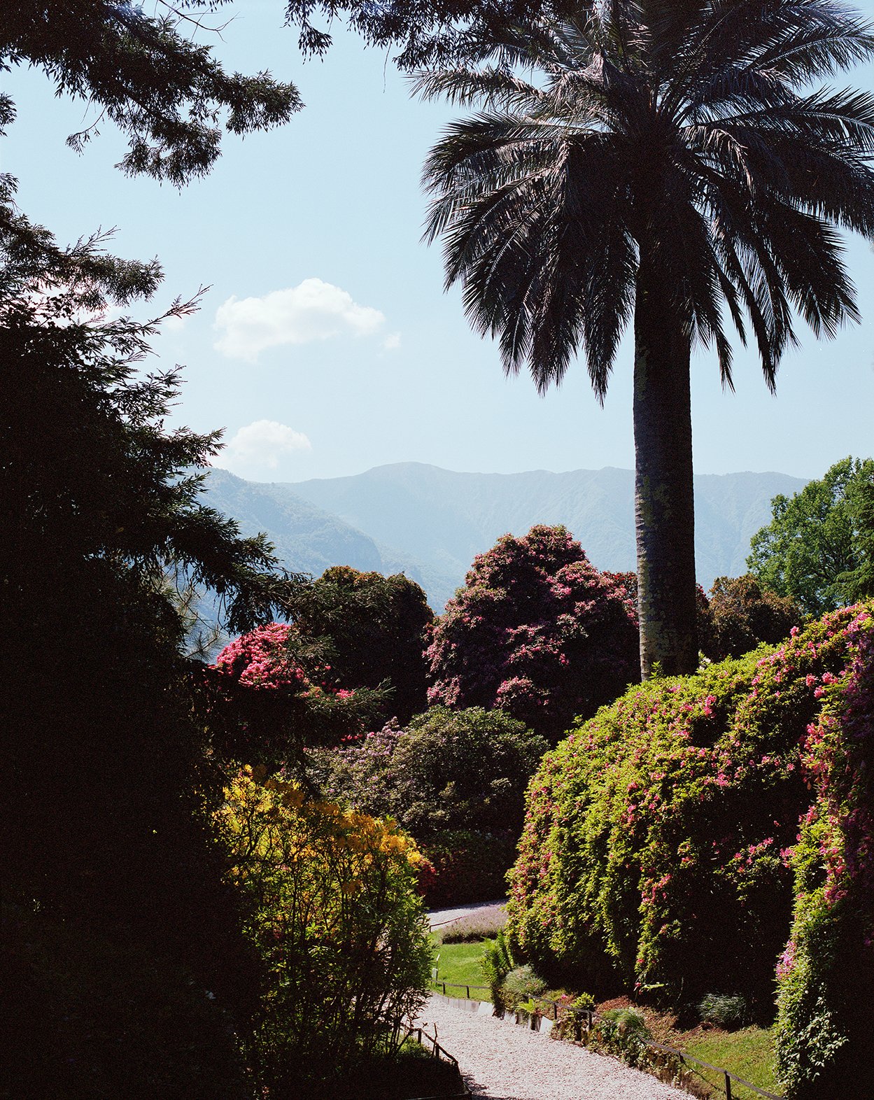 Villa-Carlotta_12122_43.jpg