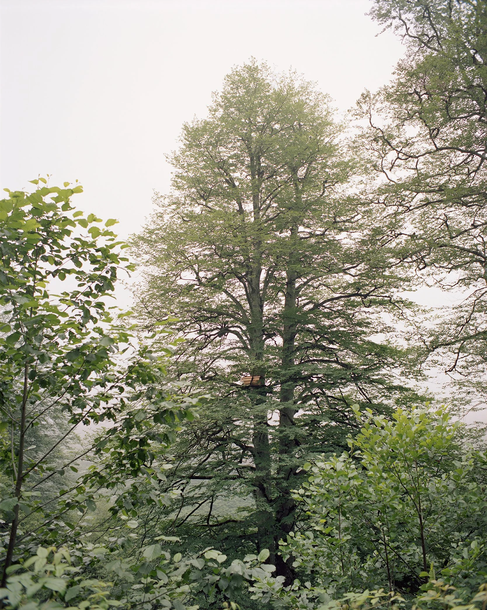 MACAHEL_974-48 copie.jpg