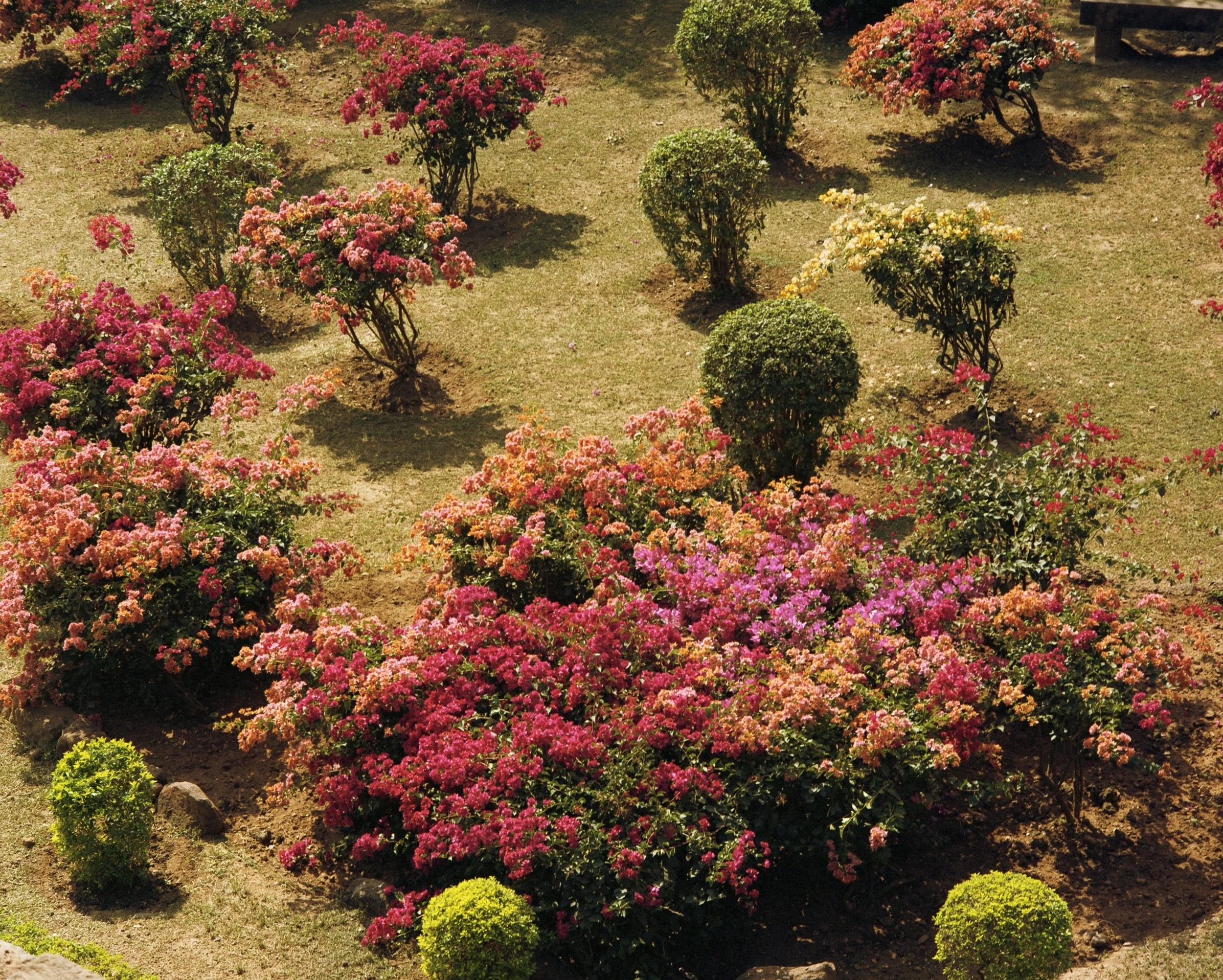 #19 INDIA_49576_46 copie.jpg