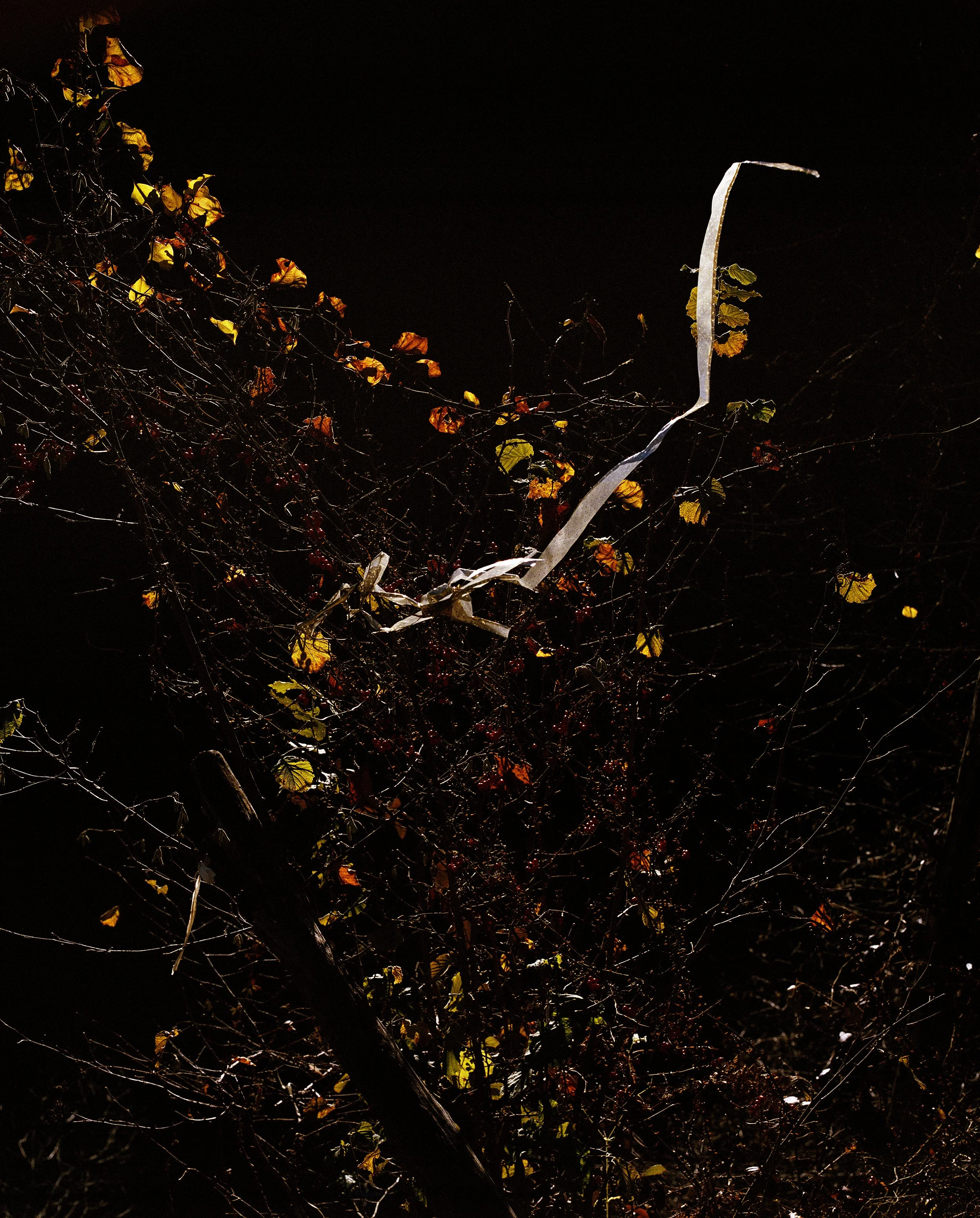 MACAHEL_04-47 copie.jpg