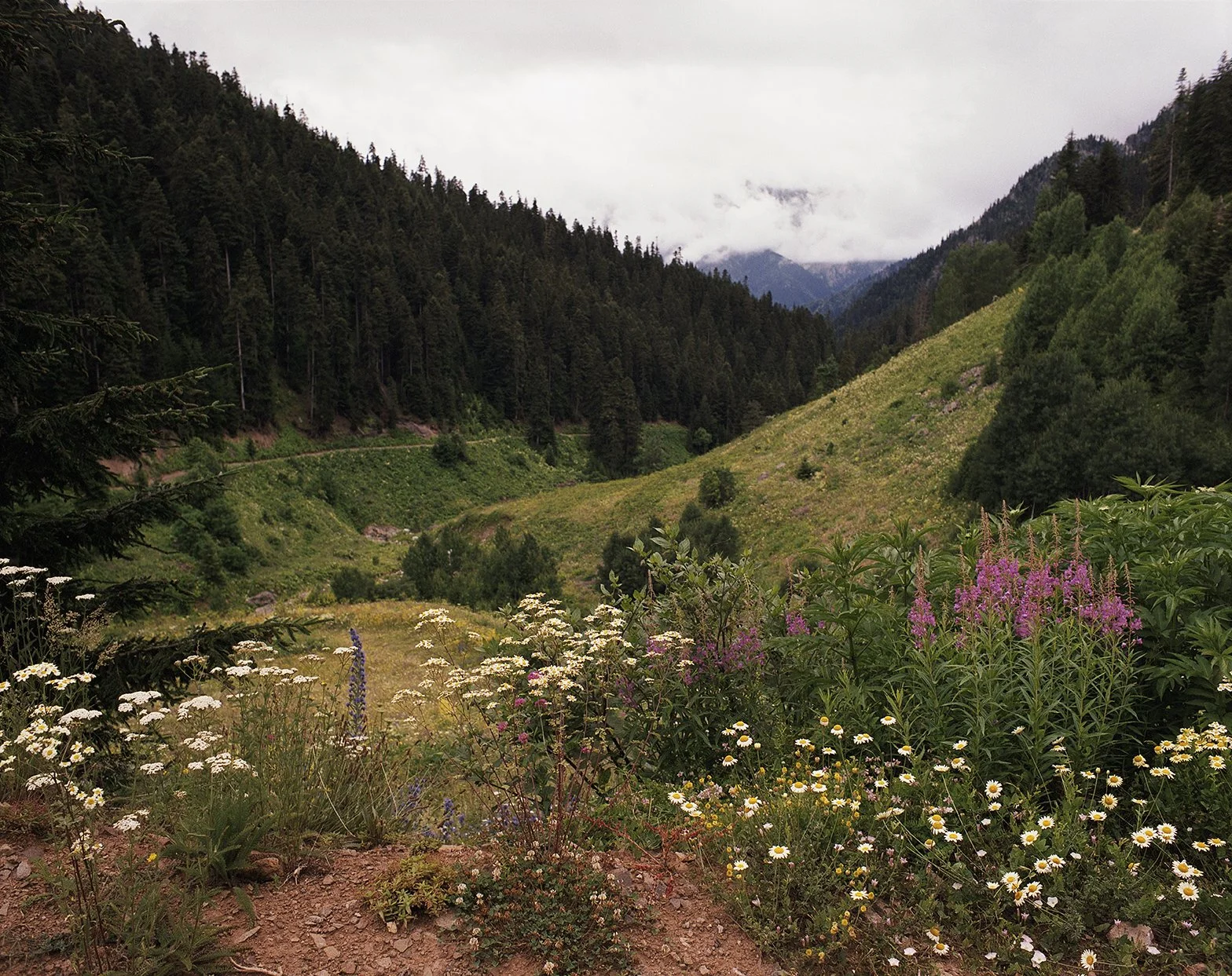 2022-10_975-47 copie.jpg