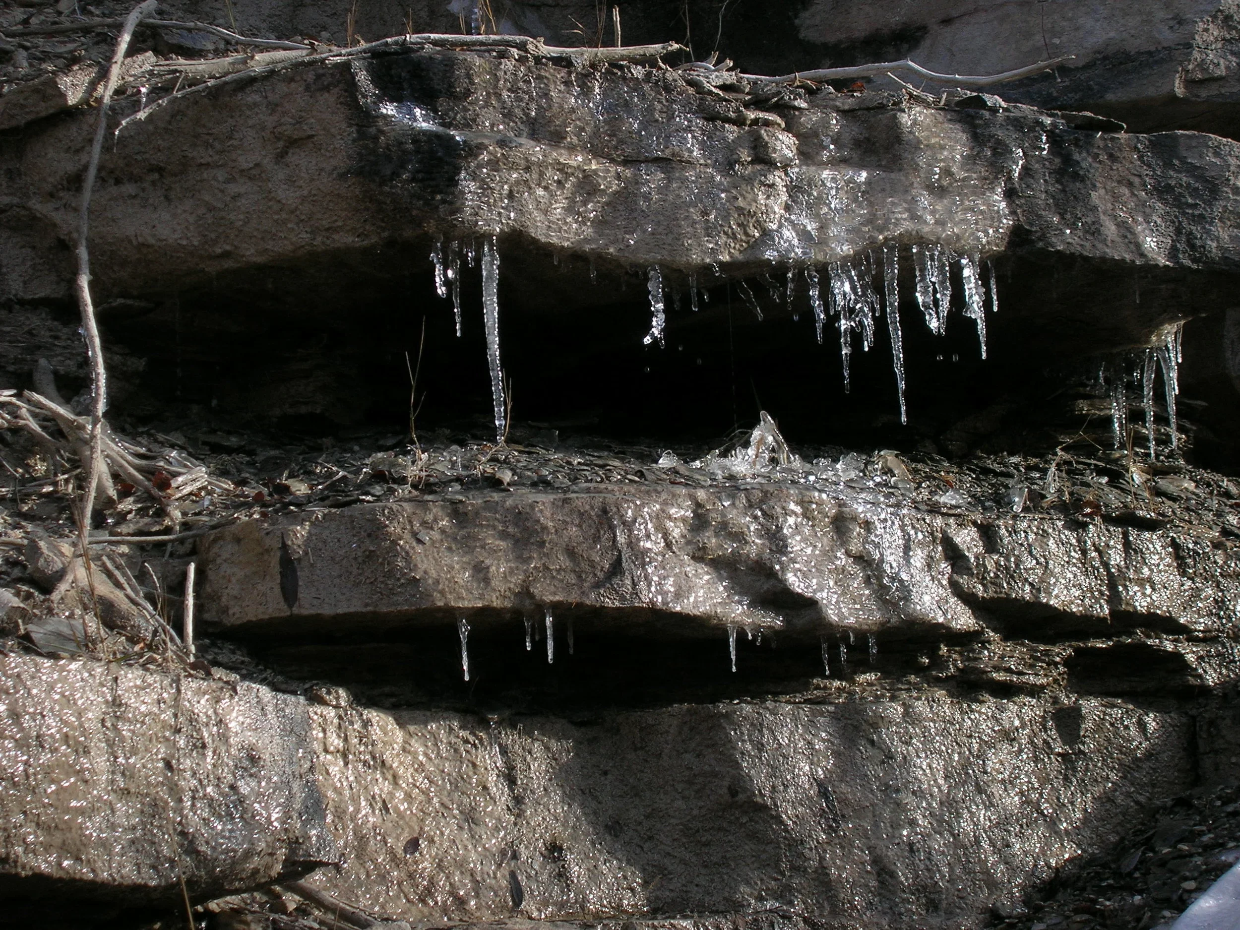 DSCN0438.webp