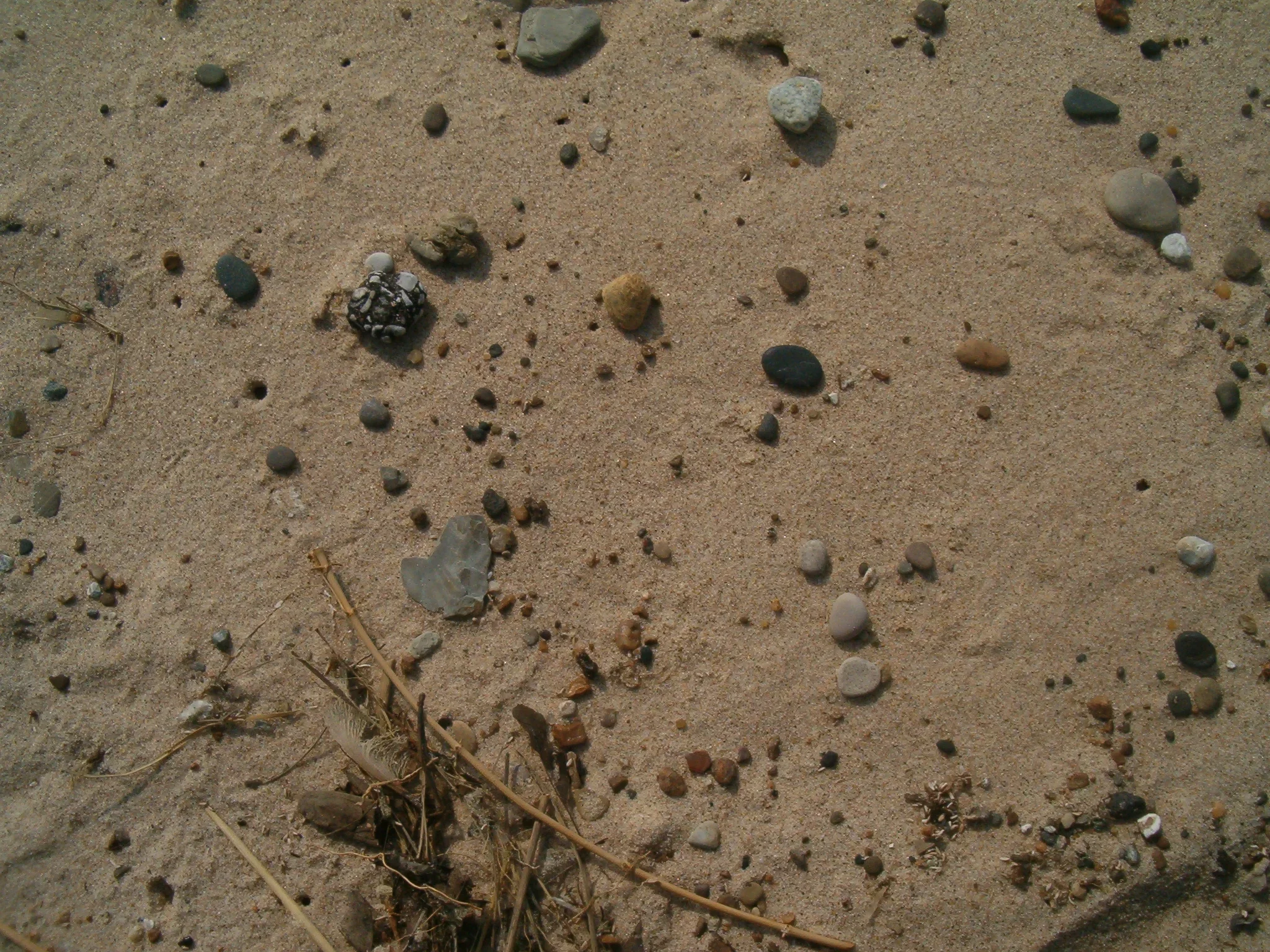 151.webp