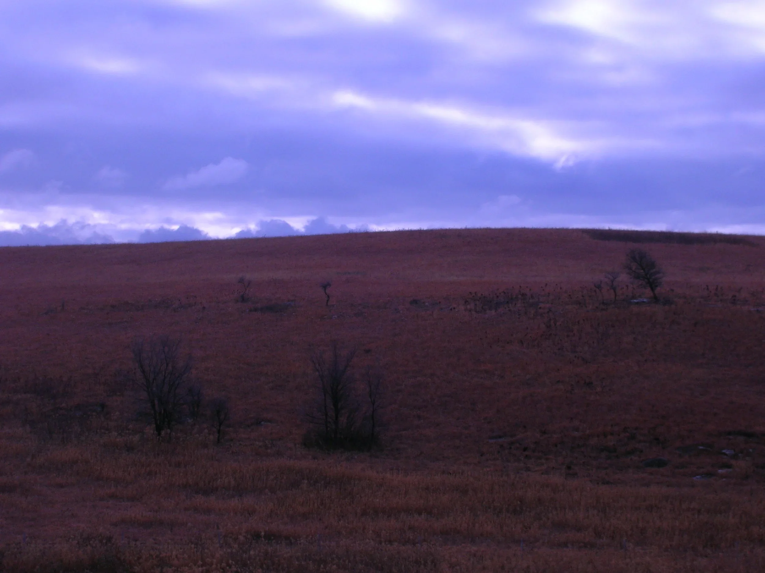 DSCN0460.webp
