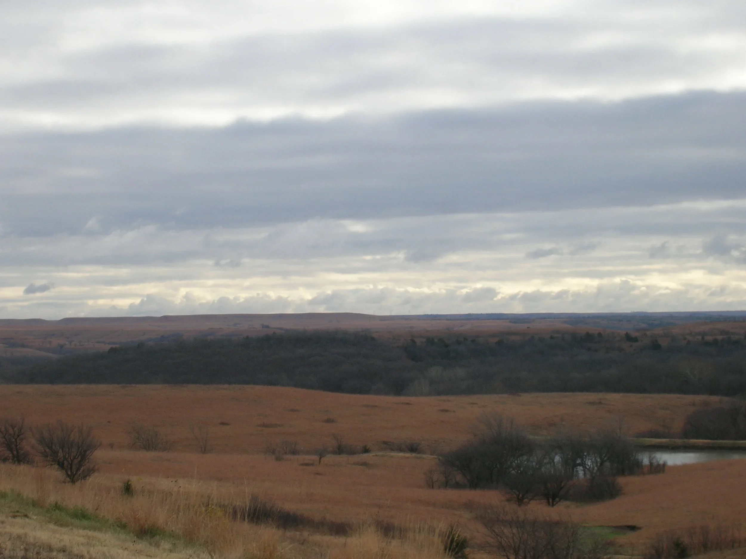 DSCN0001.webp