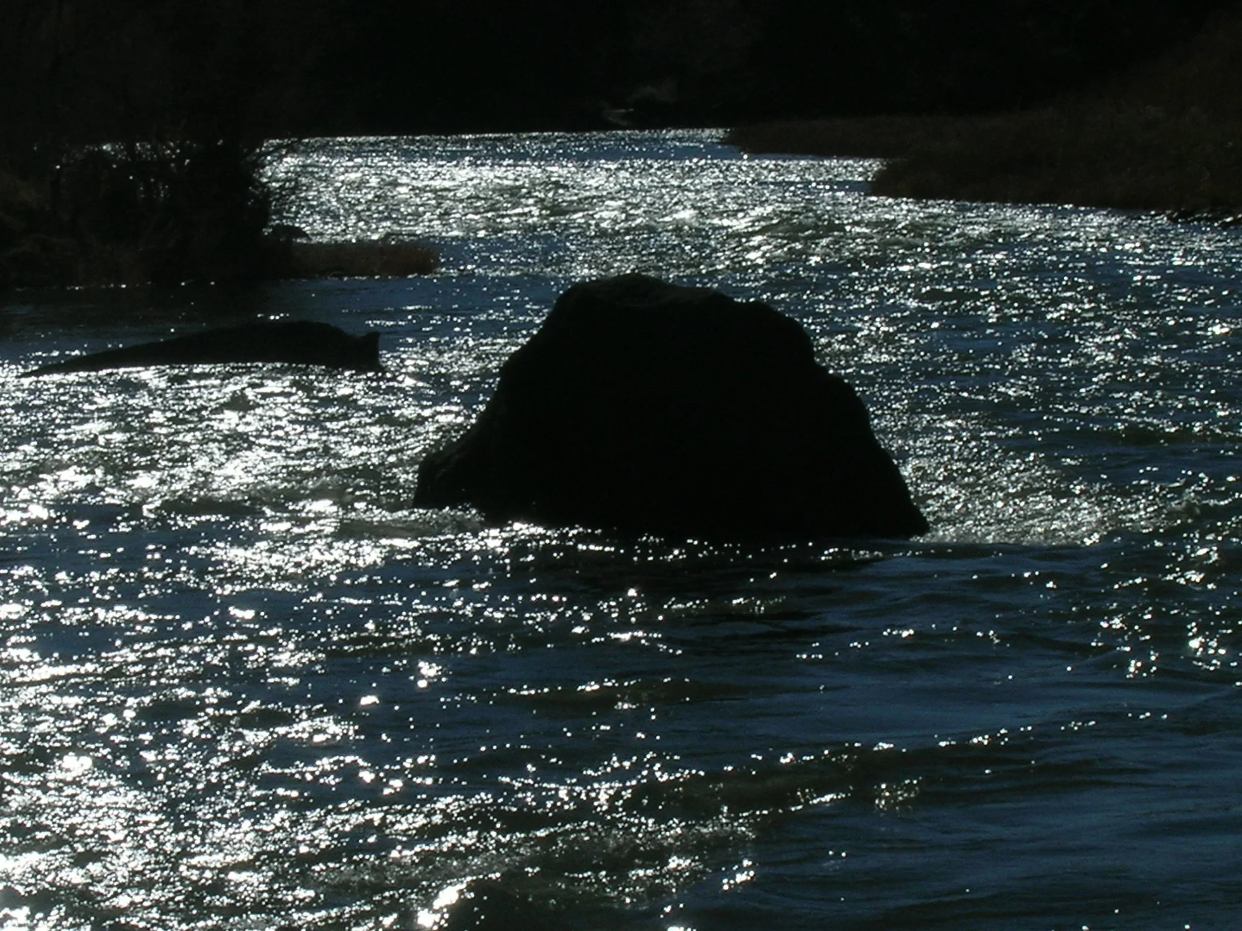 DSCN0416.webp