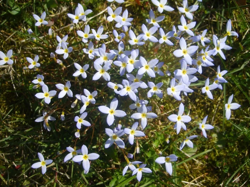 Picture+112.webp