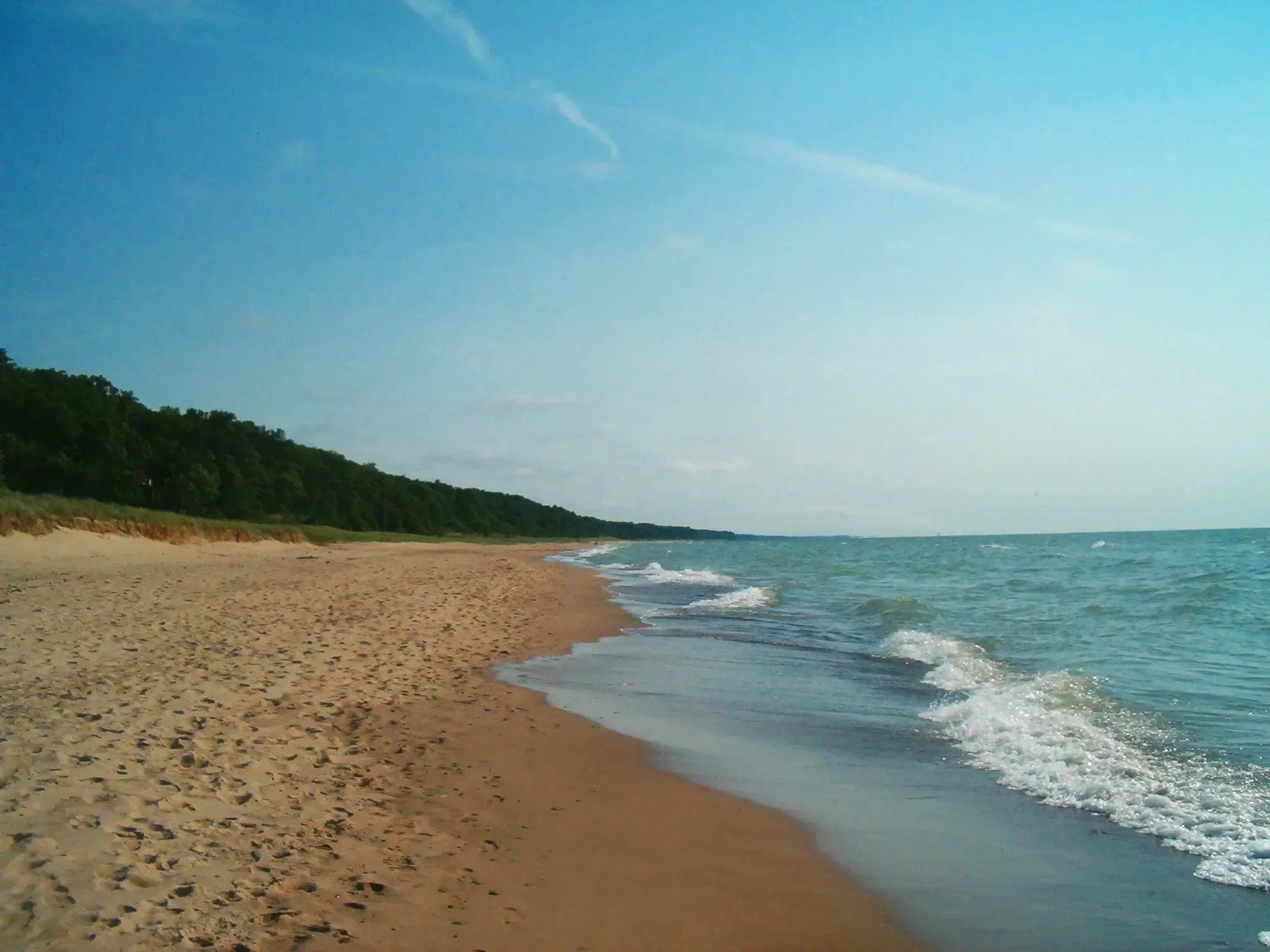 171.webp