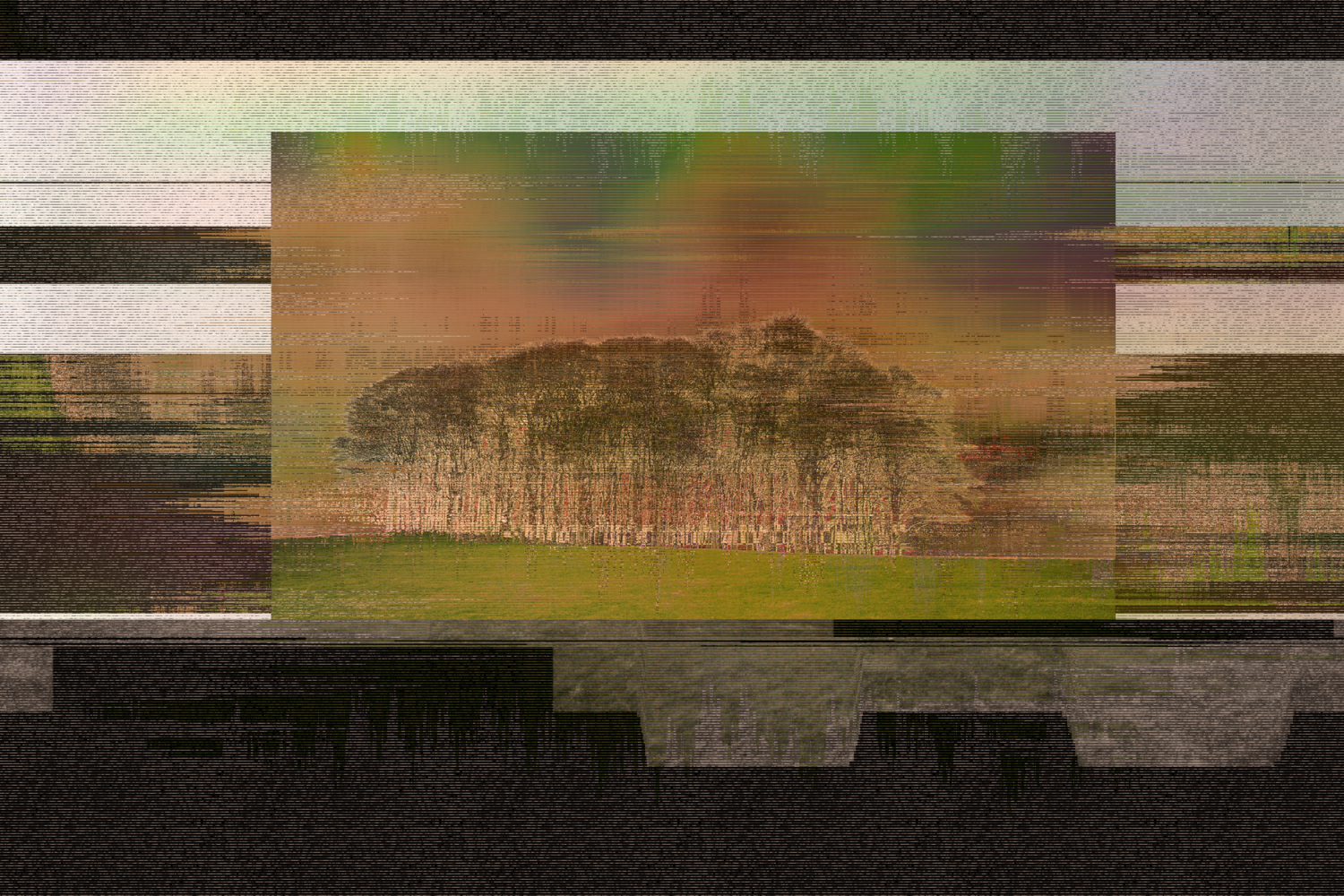 Gliché Trees on Lexicon Hue 2