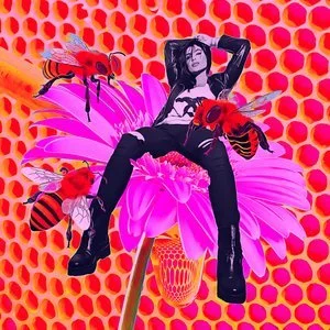 pink-gerbera+c+c.jpg