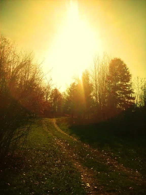 sunpath.webp