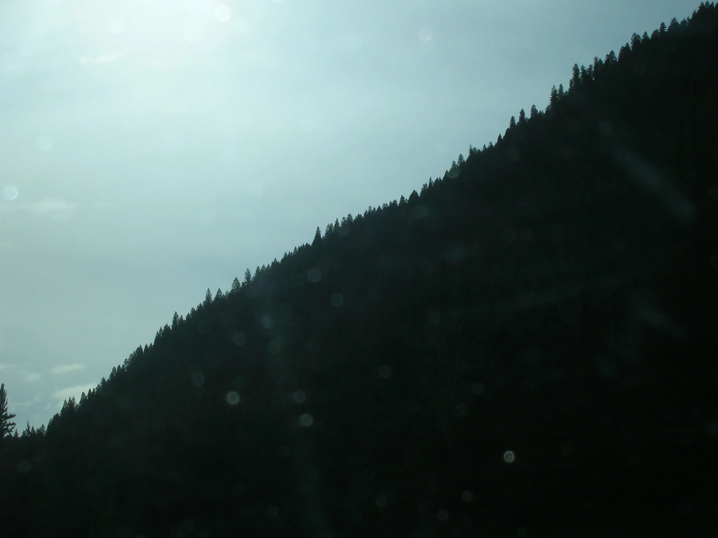 DSCN0440.webp