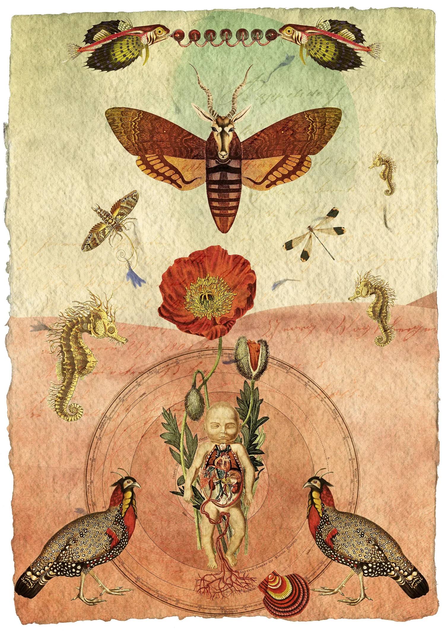 birthofthedreaming1g_paperssm.webp