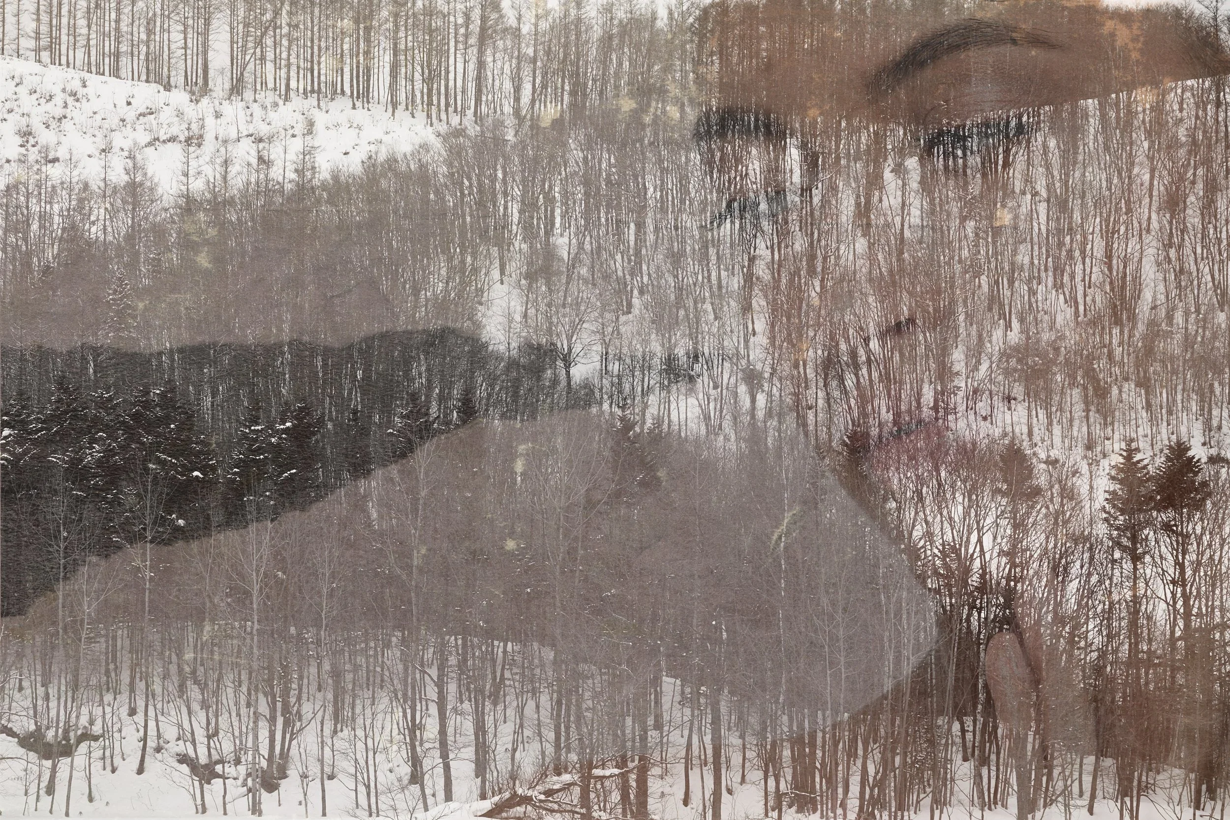 Muted+Mood.webp