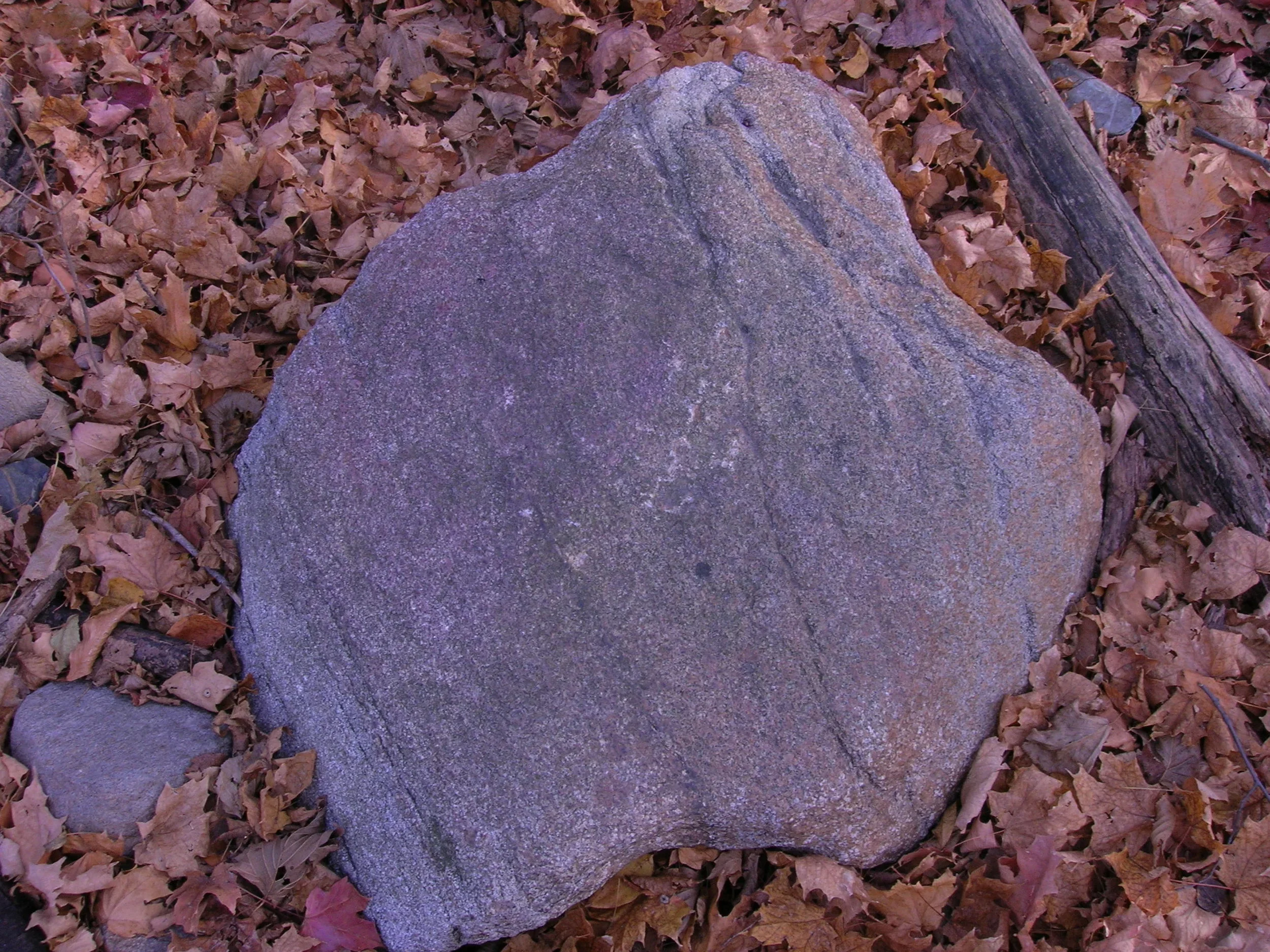 DSCN0248.webp