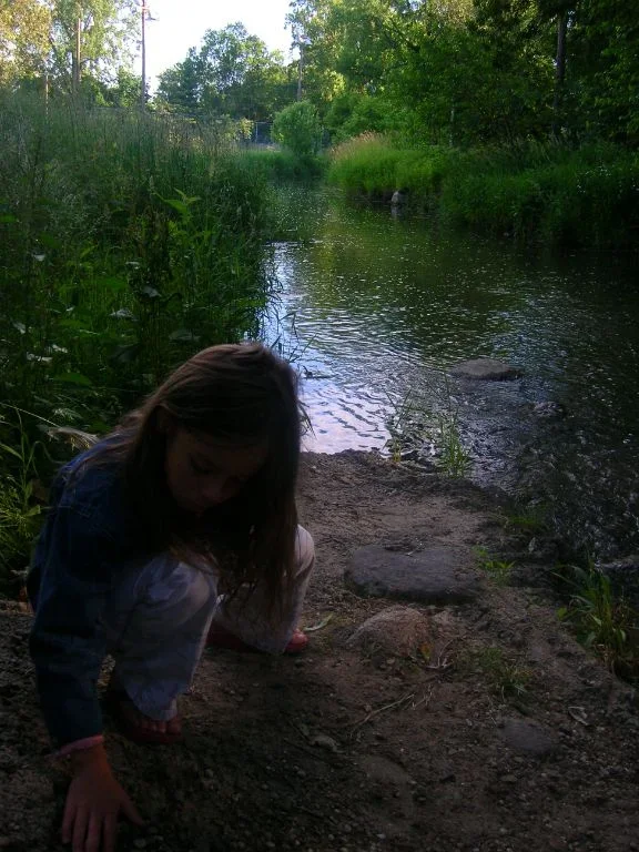 DSCN3185.webp