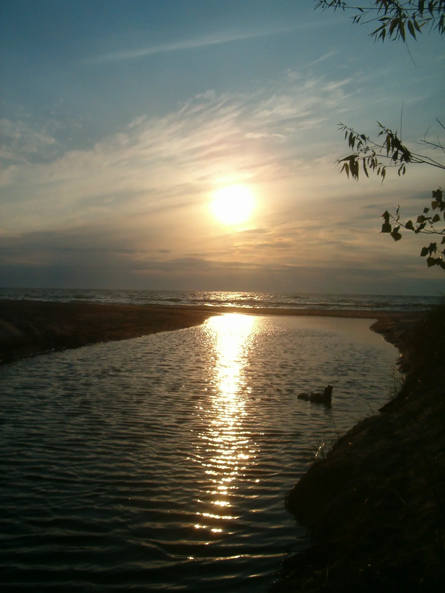 233.webp