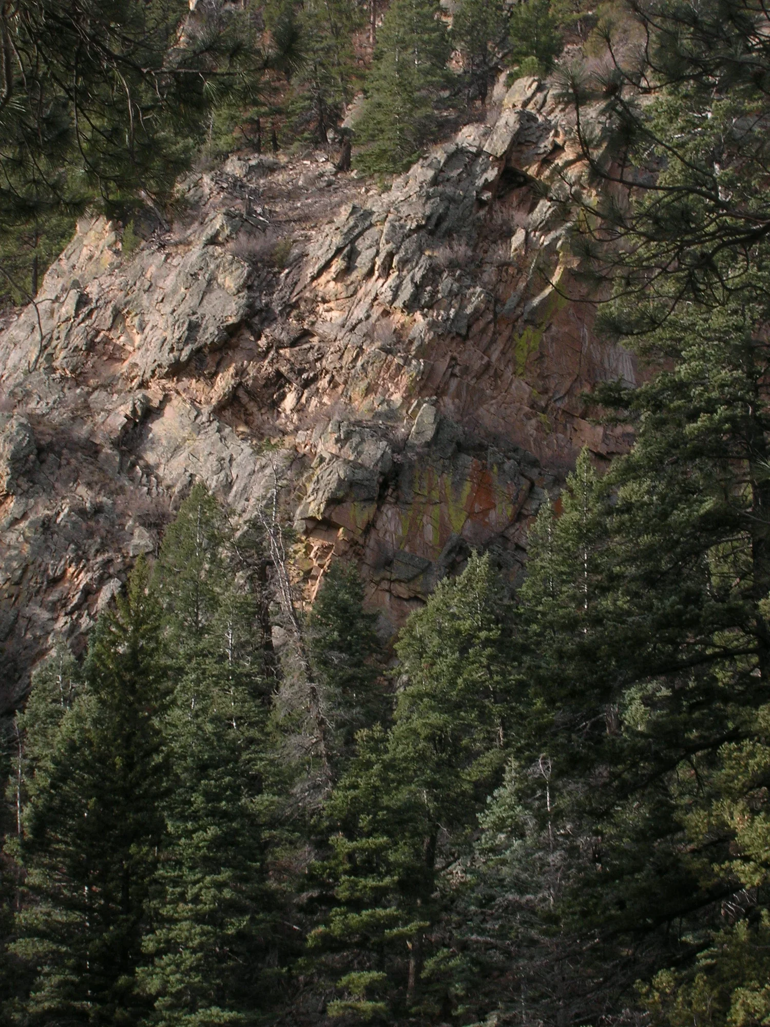 DSCN0436.webp