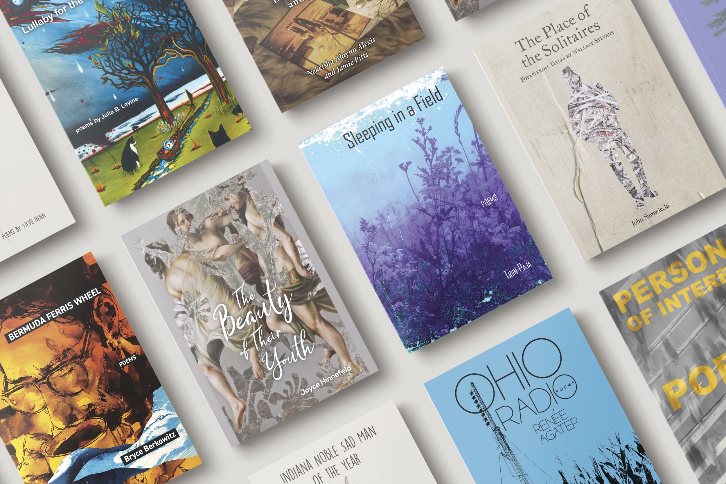 Several books showing cover designs