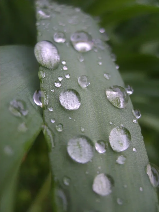 wet1.webp