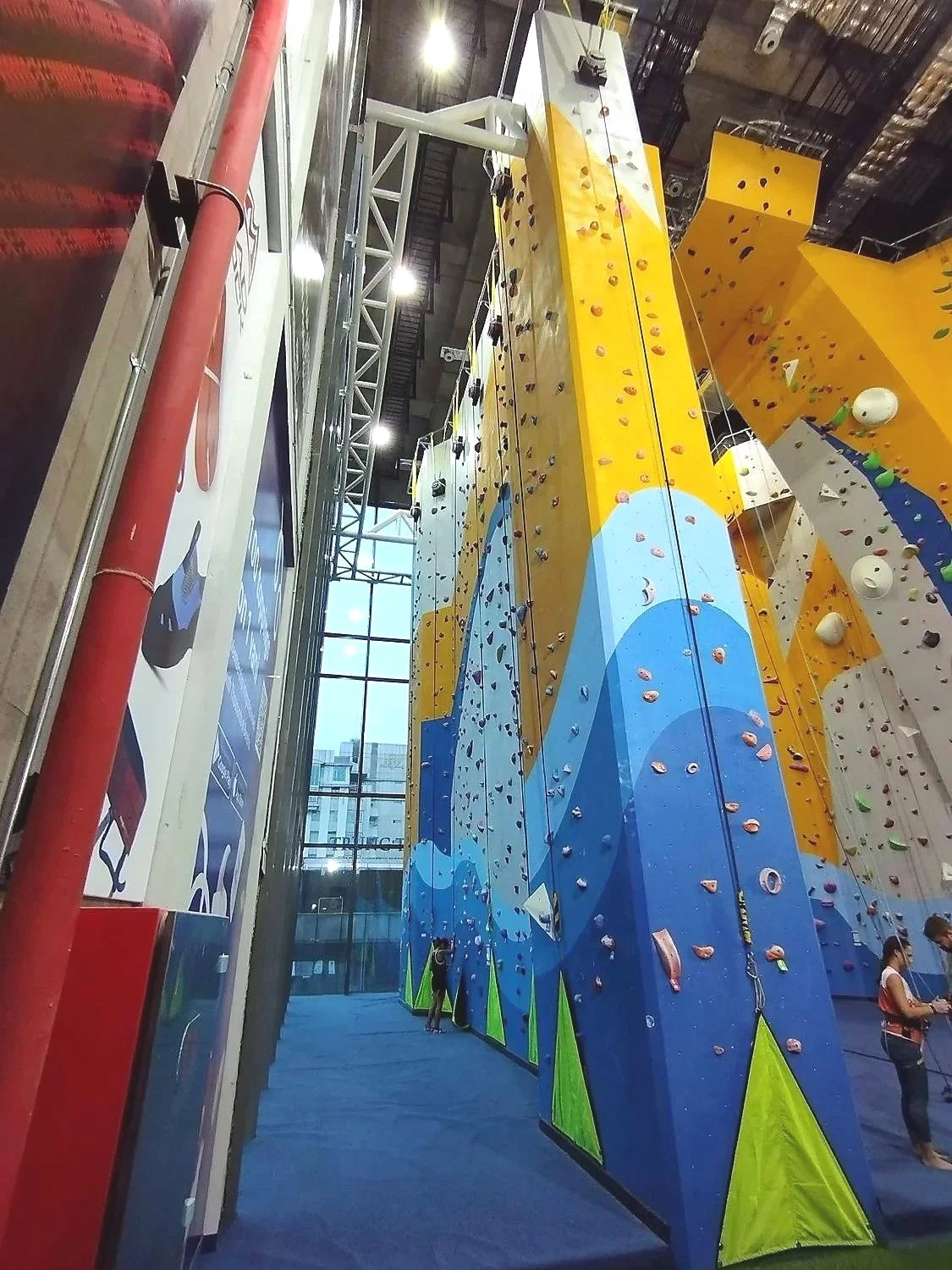 Crescent Wall - Aquarium Climbing Wall