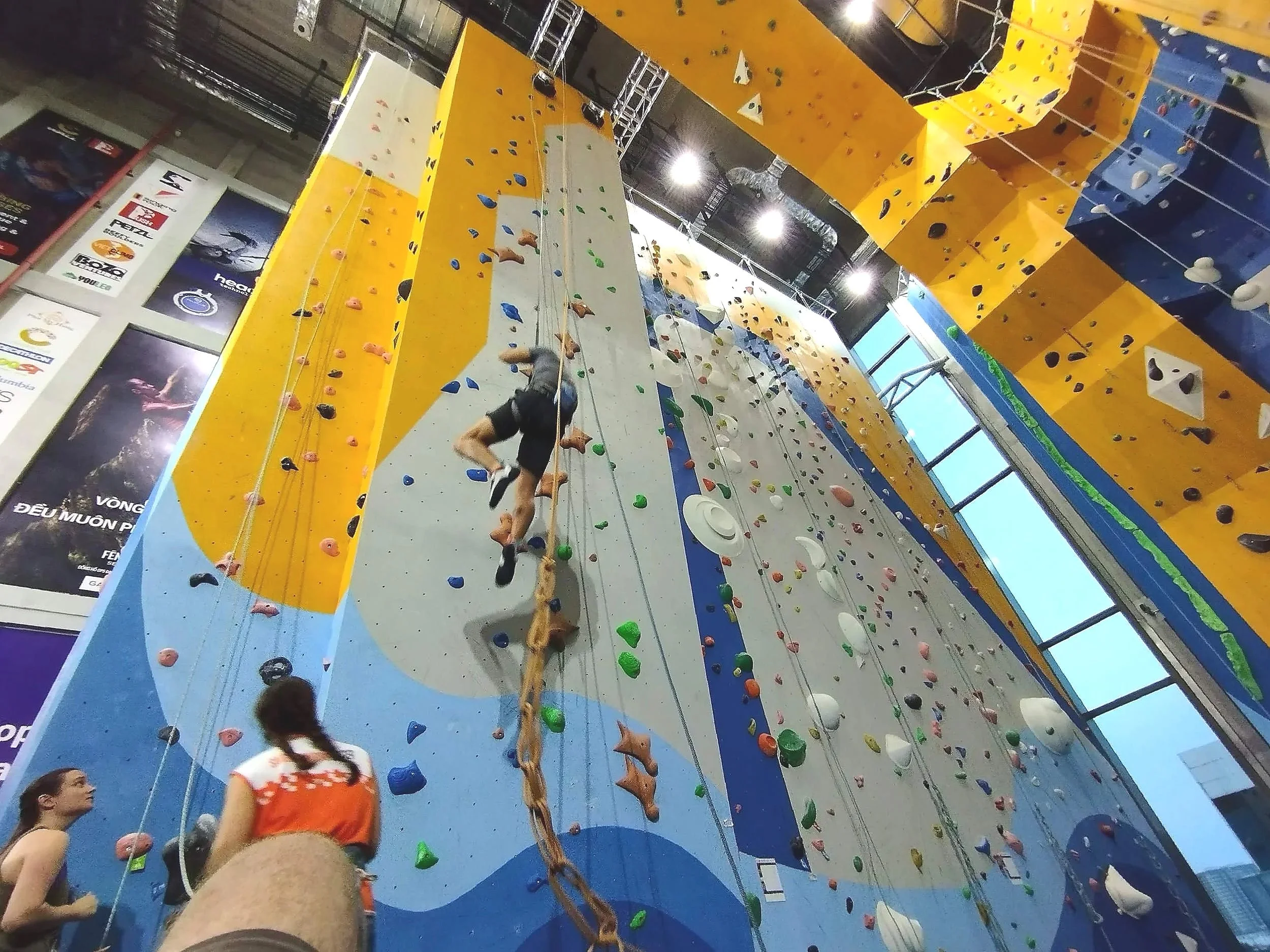 Speed Climbing Wall