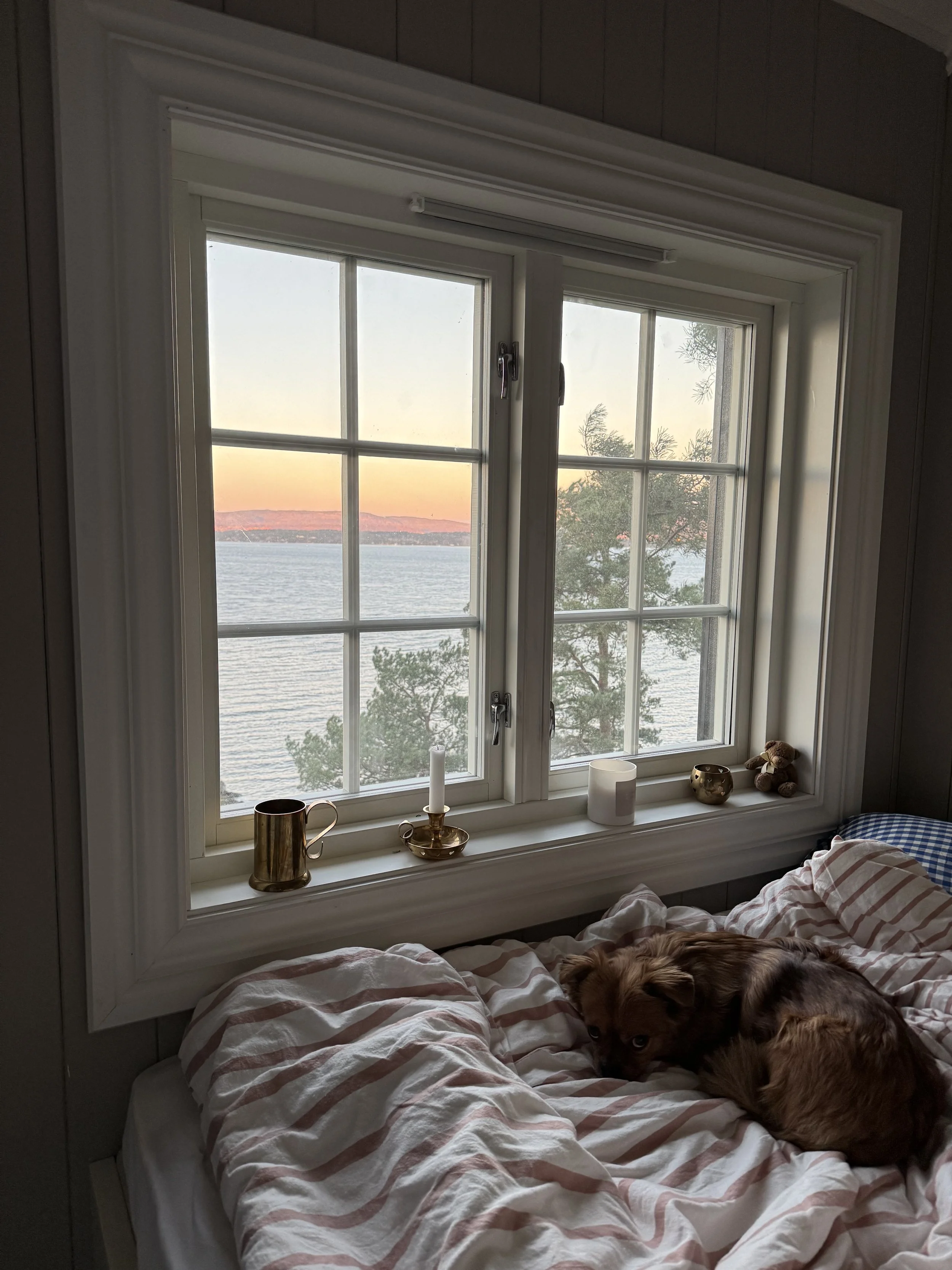 IMG_1473.jpeg