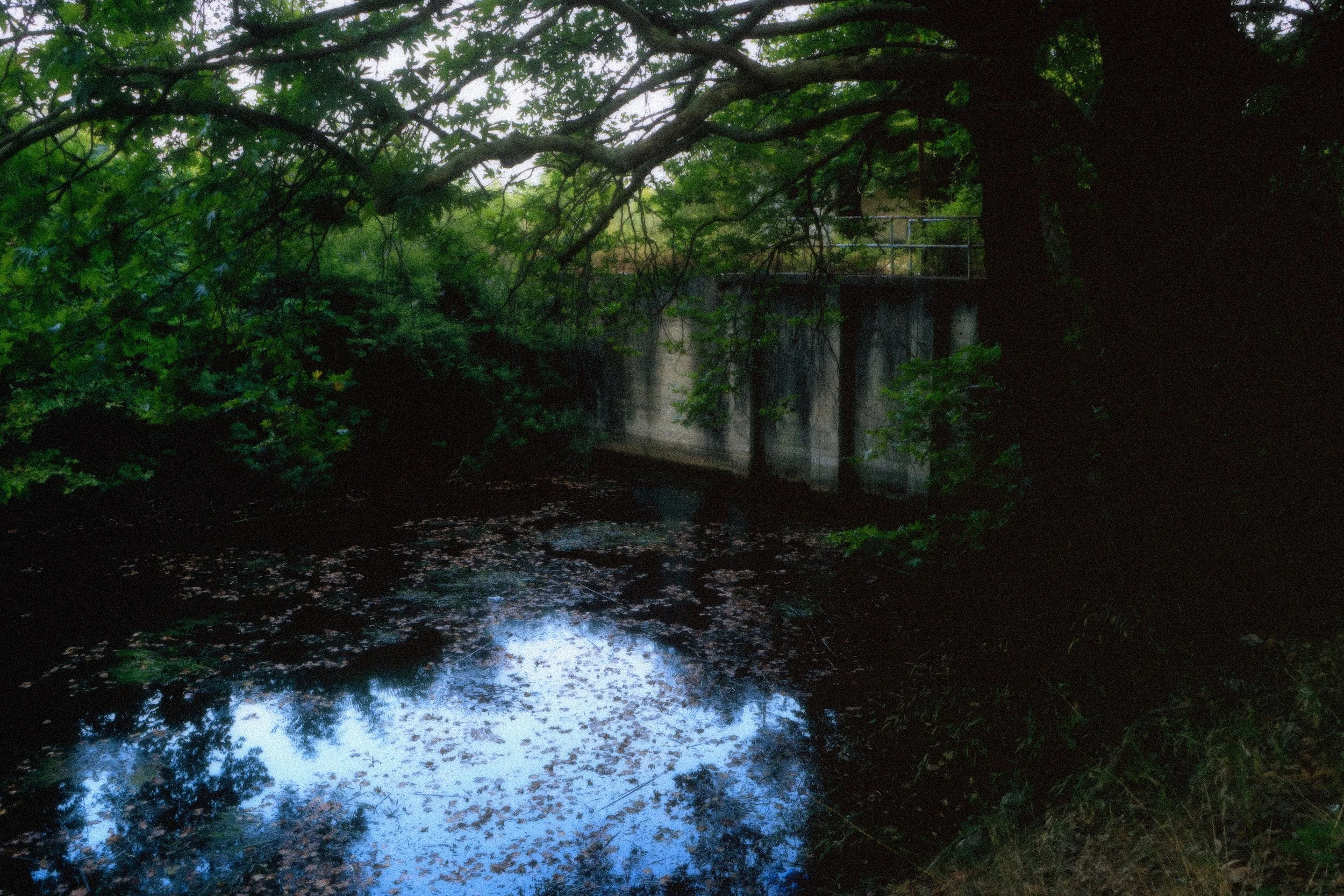 95.jpg