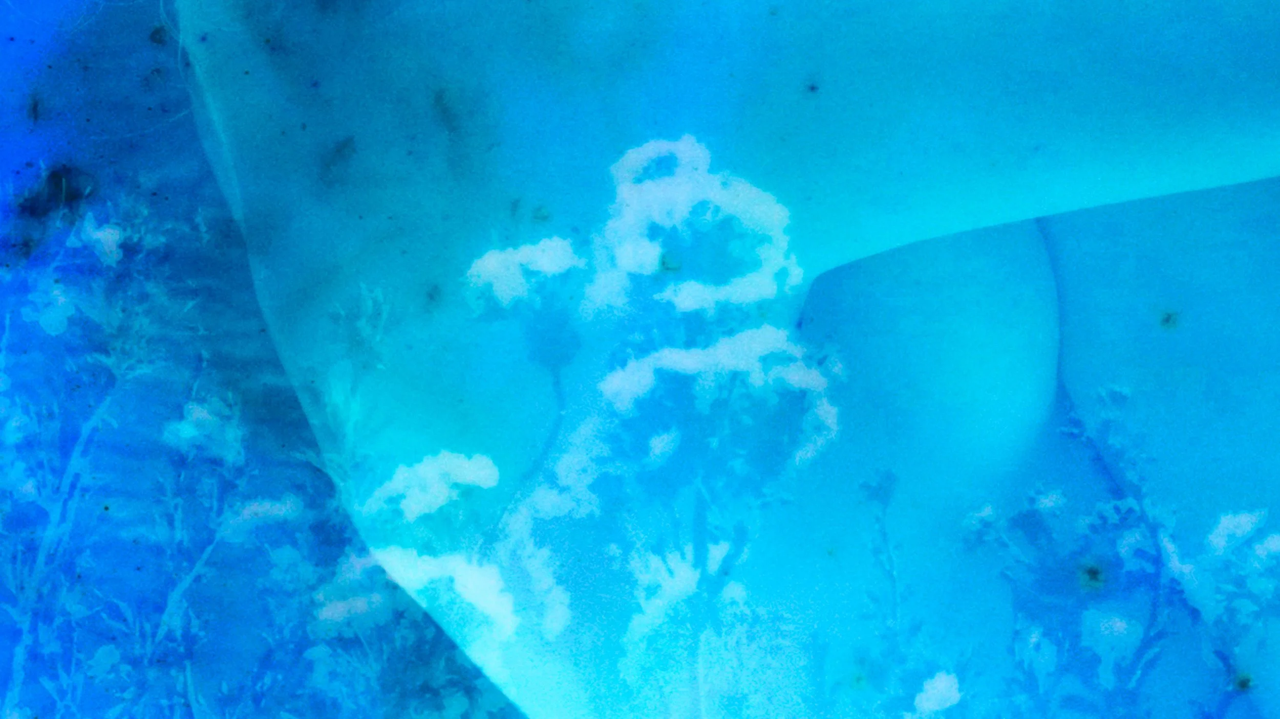 NVDM9736.JPG