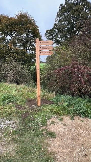 image21.jpeg