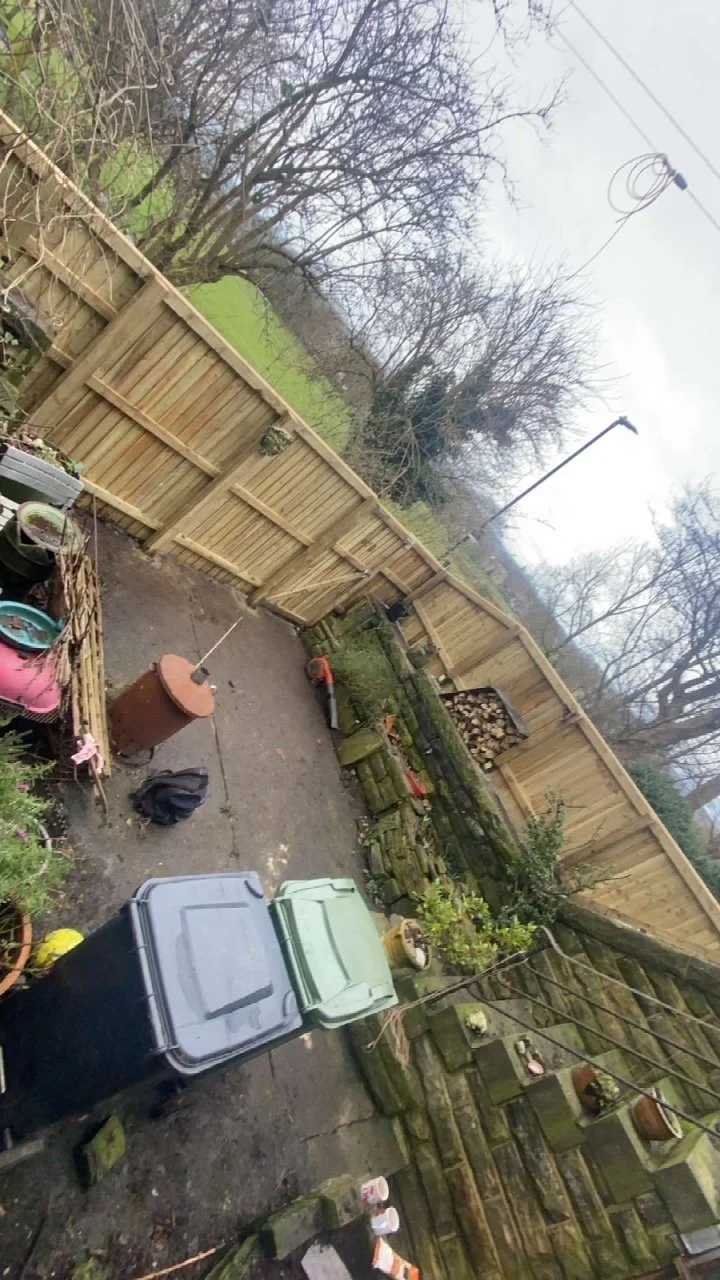 image13.jpeg