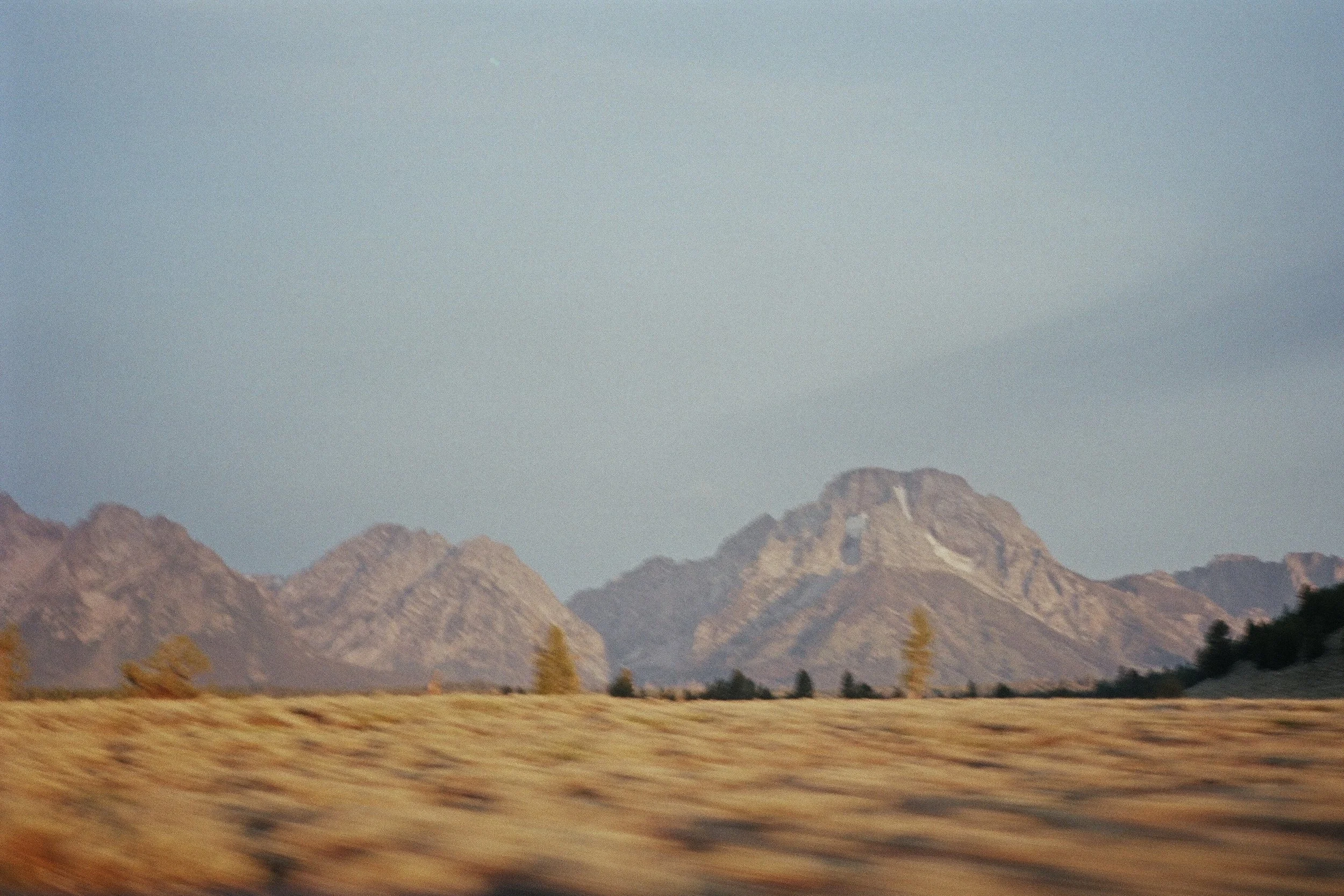 Stillness & Motion, 2026