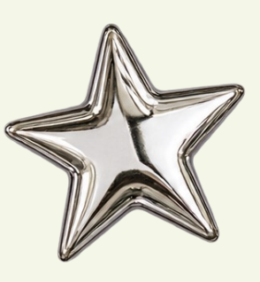 A silver, metallic star-shaped decoration or object.