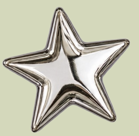 A shiny metallic star-shaped object