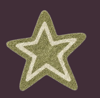 A green star-shaped cookie with a white star outline on a dark background.
