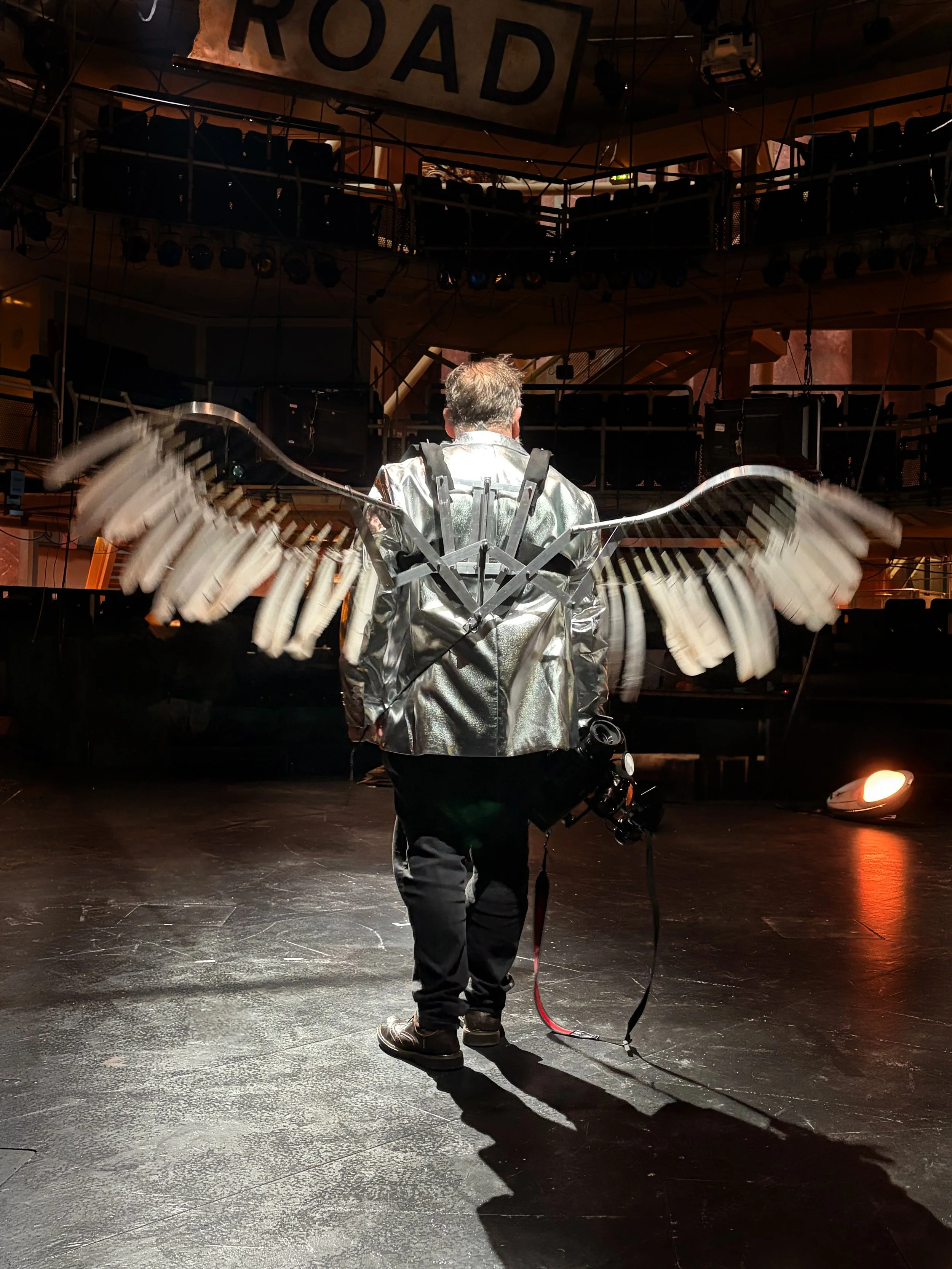 Wings