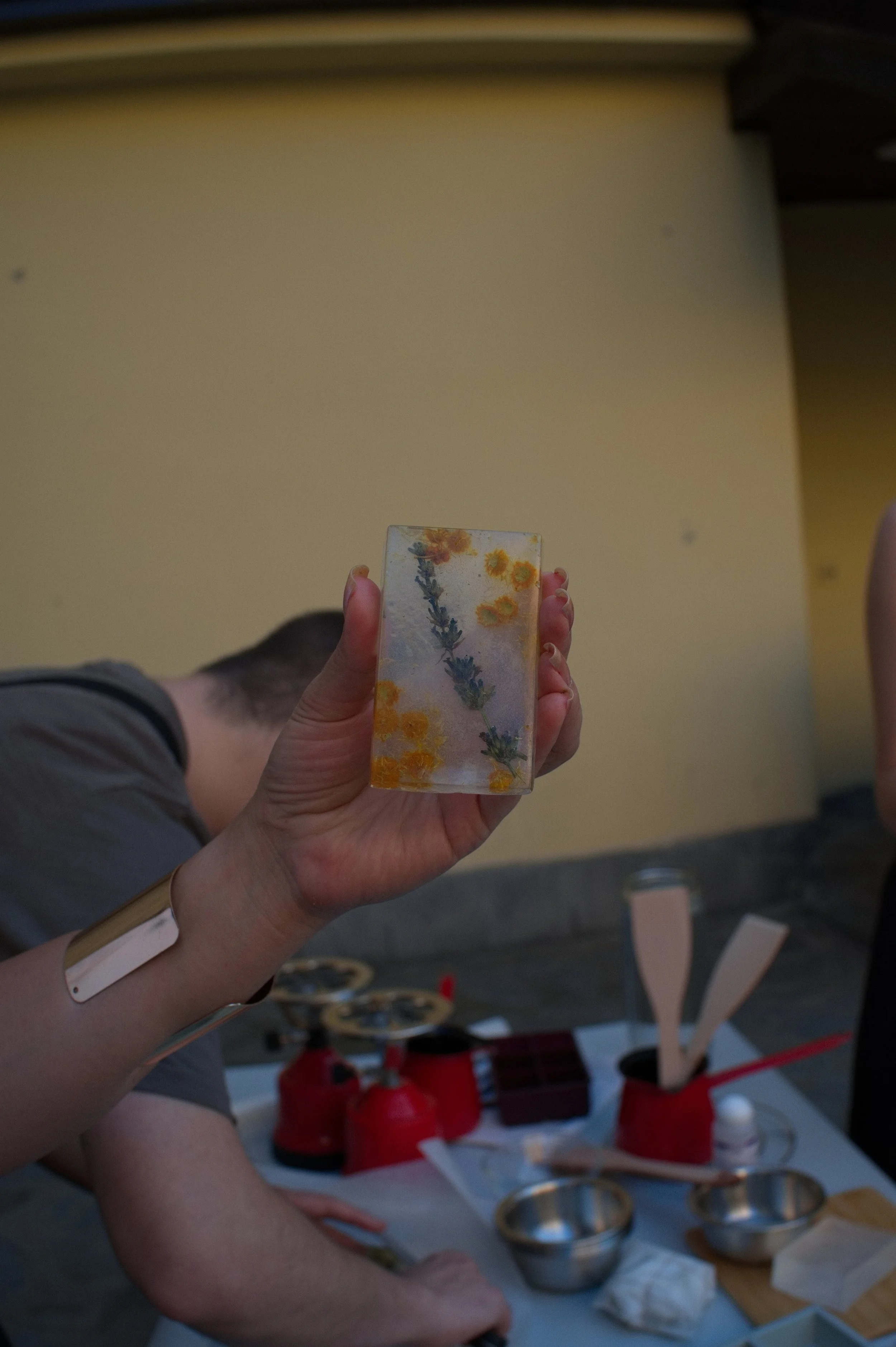 DSC_2442.jpg