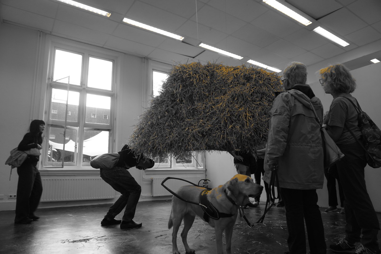 Visually impaired audience experiences the sculpture and installation work