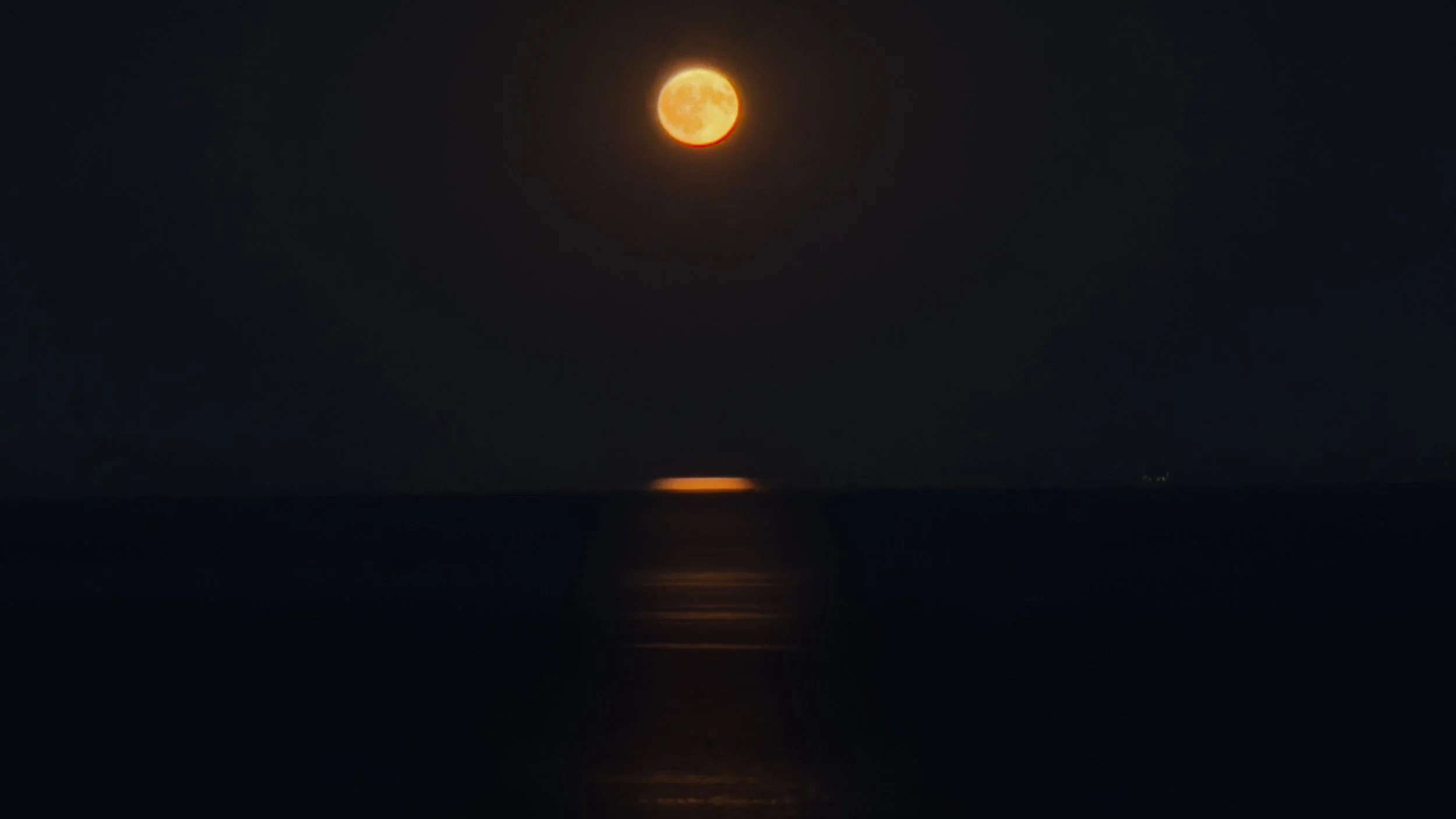 IMG_3288.jpeg