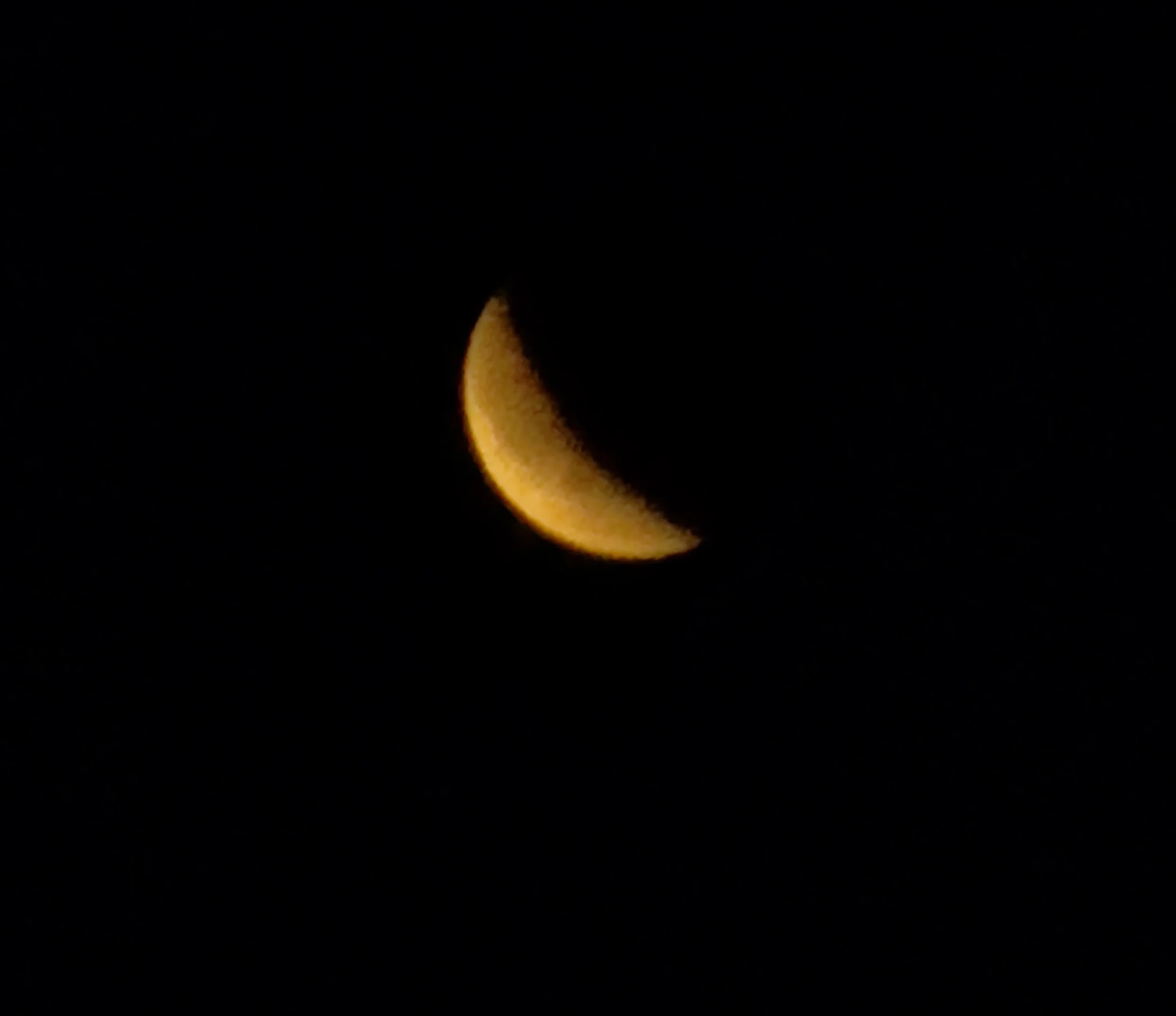 IMG_5787.jpeg