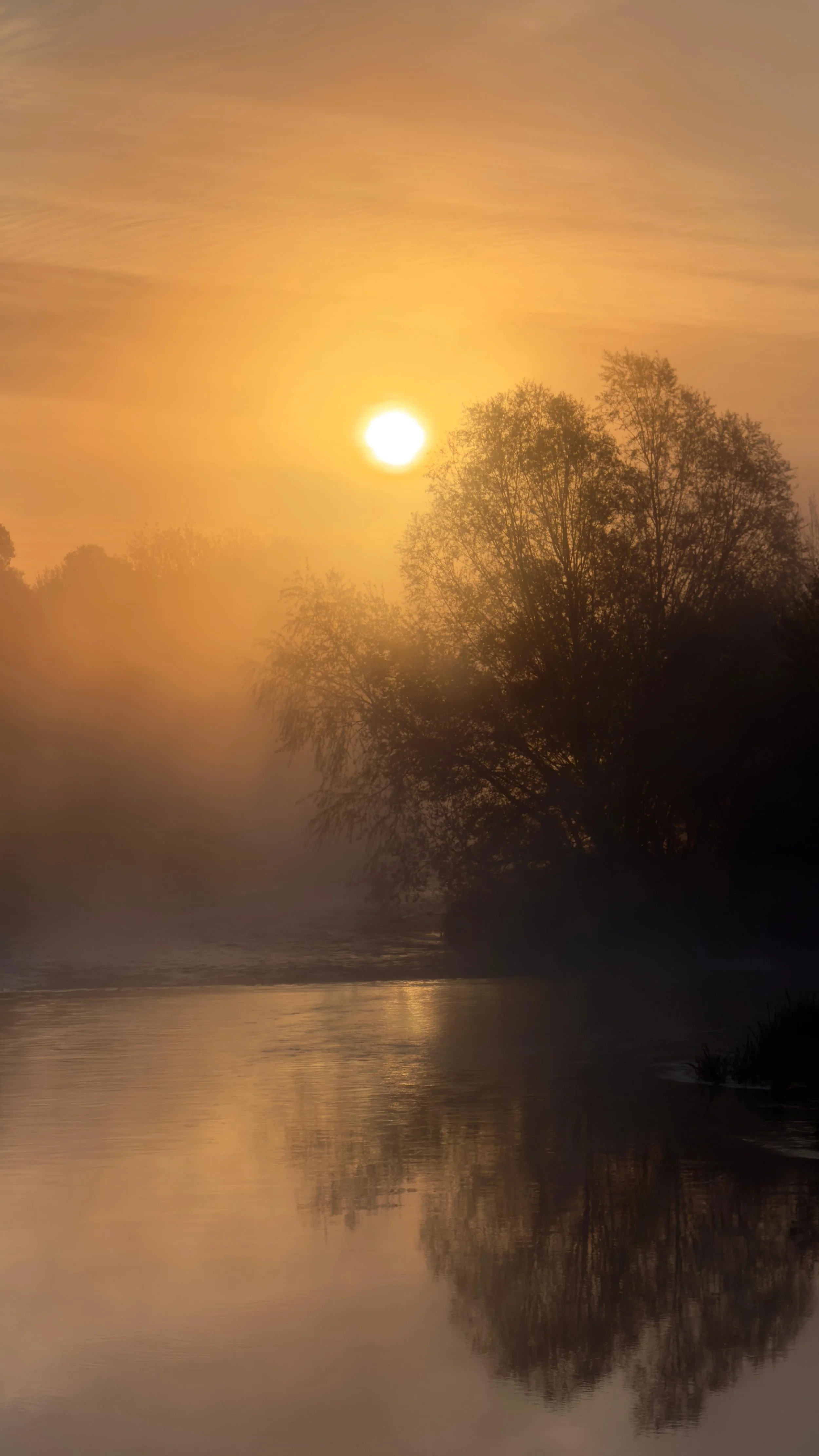🌅 Dorset Photo Walk