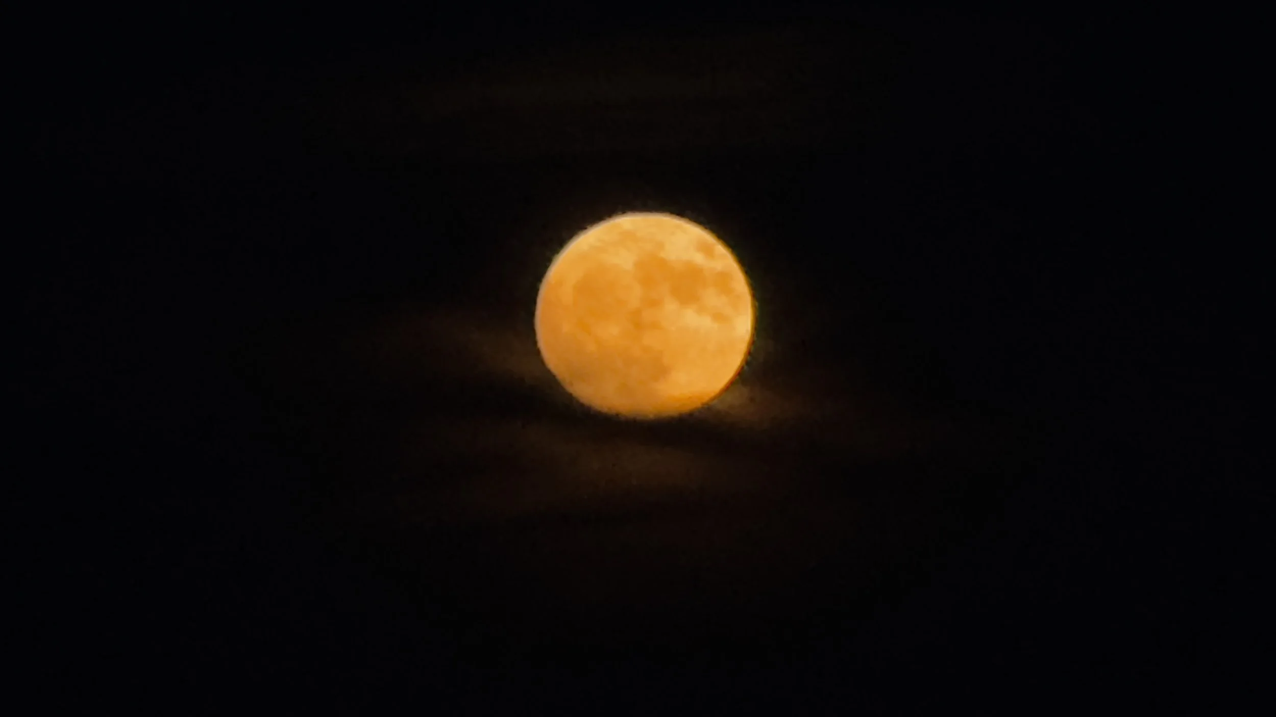 IMG_2671.jpeg