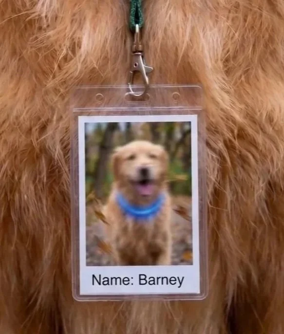 Barney