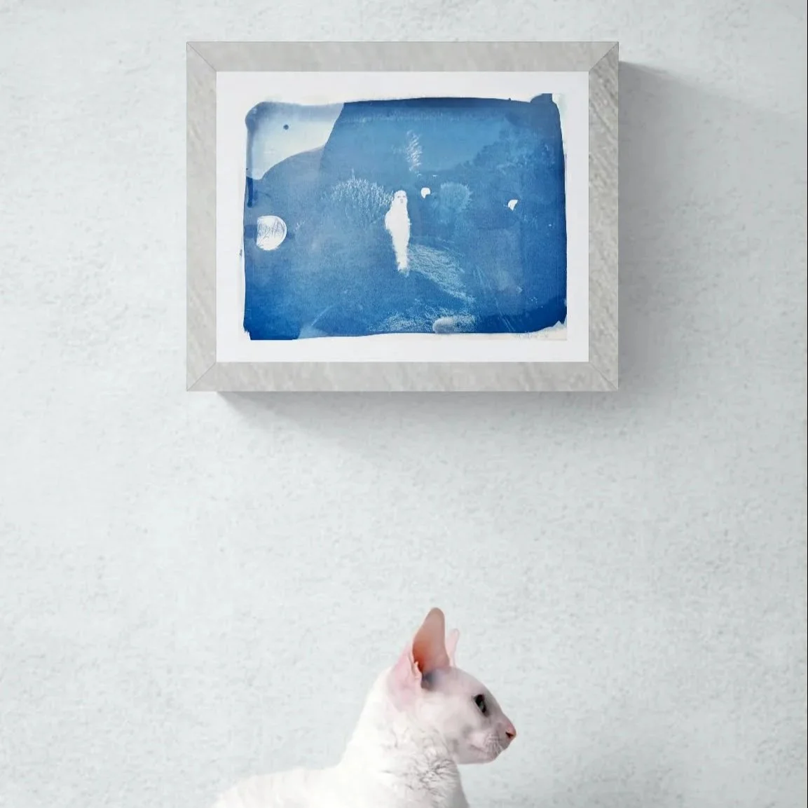 Night+garden+frame.jpg