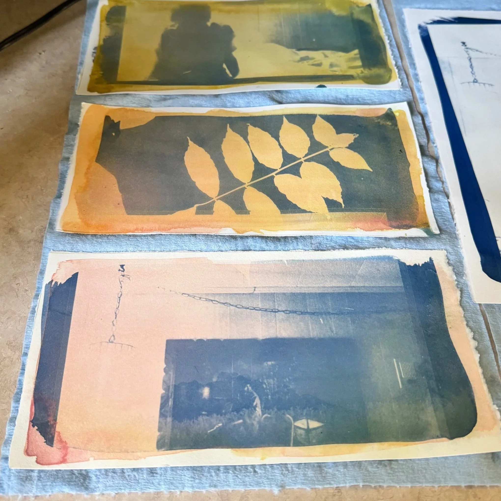 Colorful prints of nature and silhouette images displayed on paper, arranged on a surface.